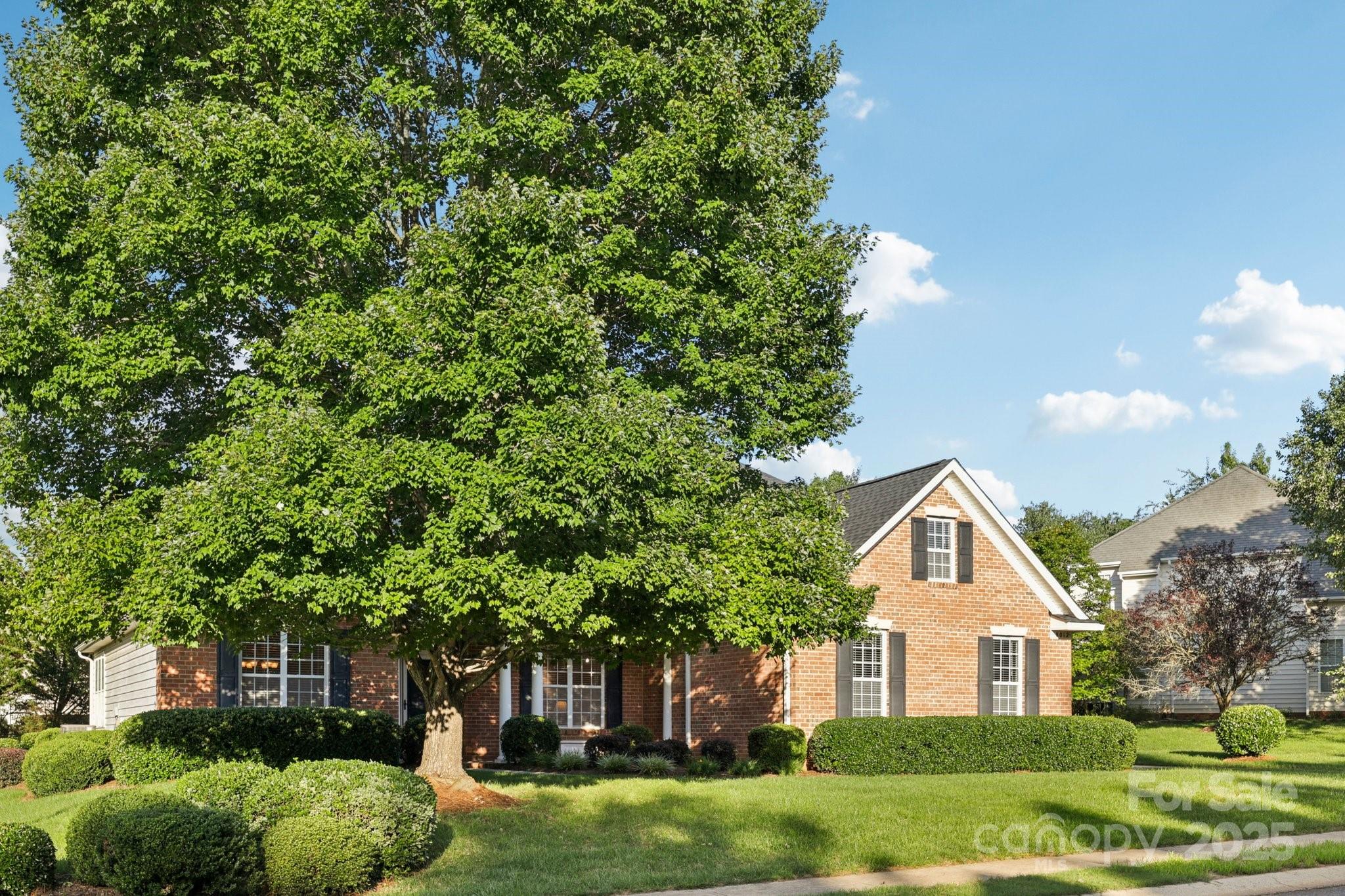 8012 Avanti Drive Property Photo 1