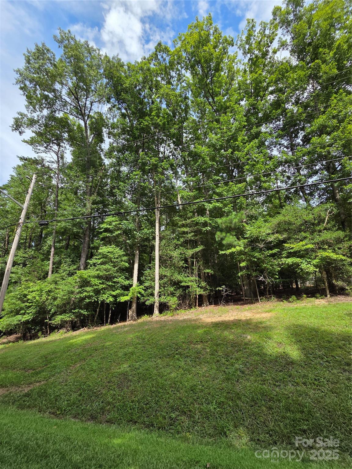 242 Creswell Road Property Photo 6