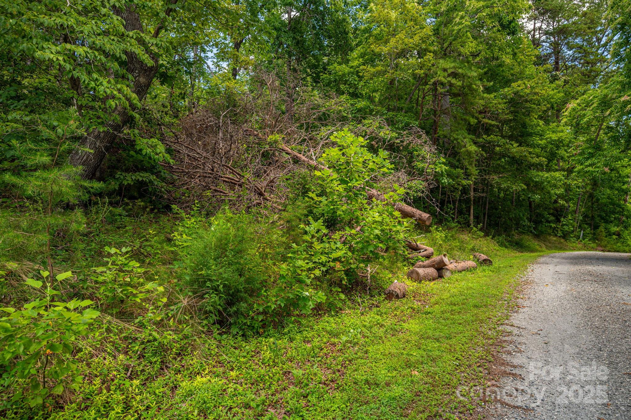 Lot 208 Plantation Drive Property Photo 1