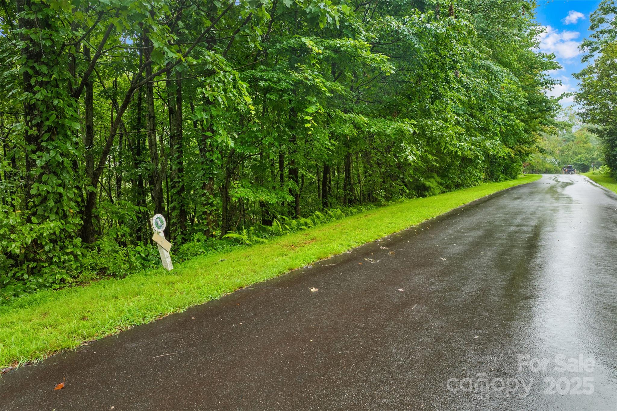 262 Feather Falls Trail 3 Property Photo 6