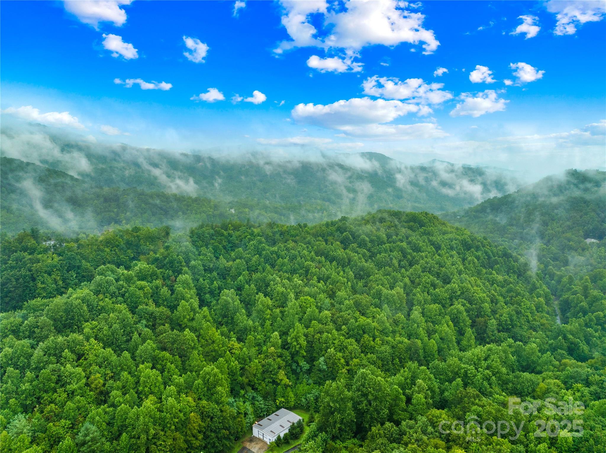 262 Feather Falls Trail 3 Property Photo 8
