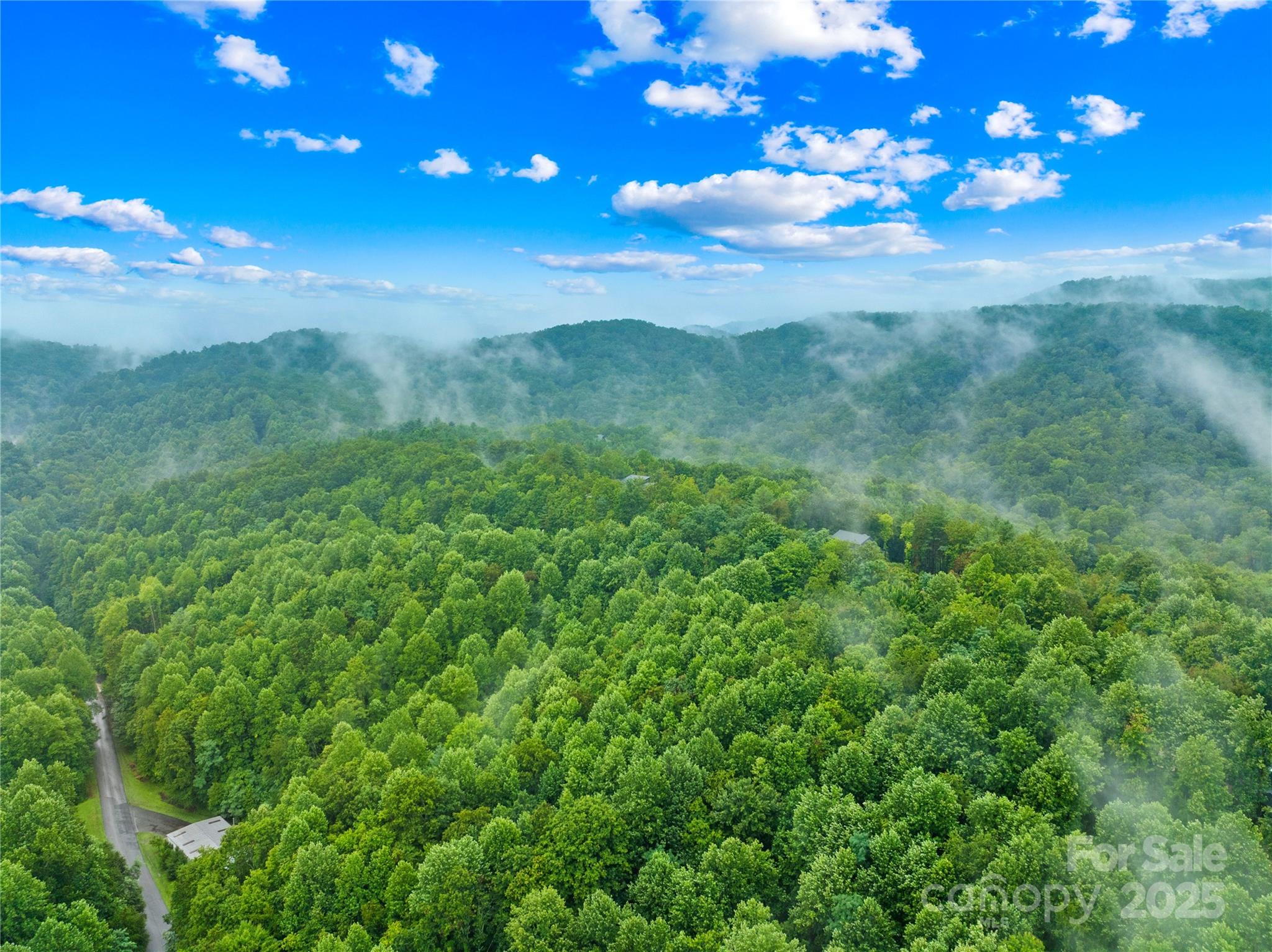 262 Feather Falls Trail 3 Property Photo 13