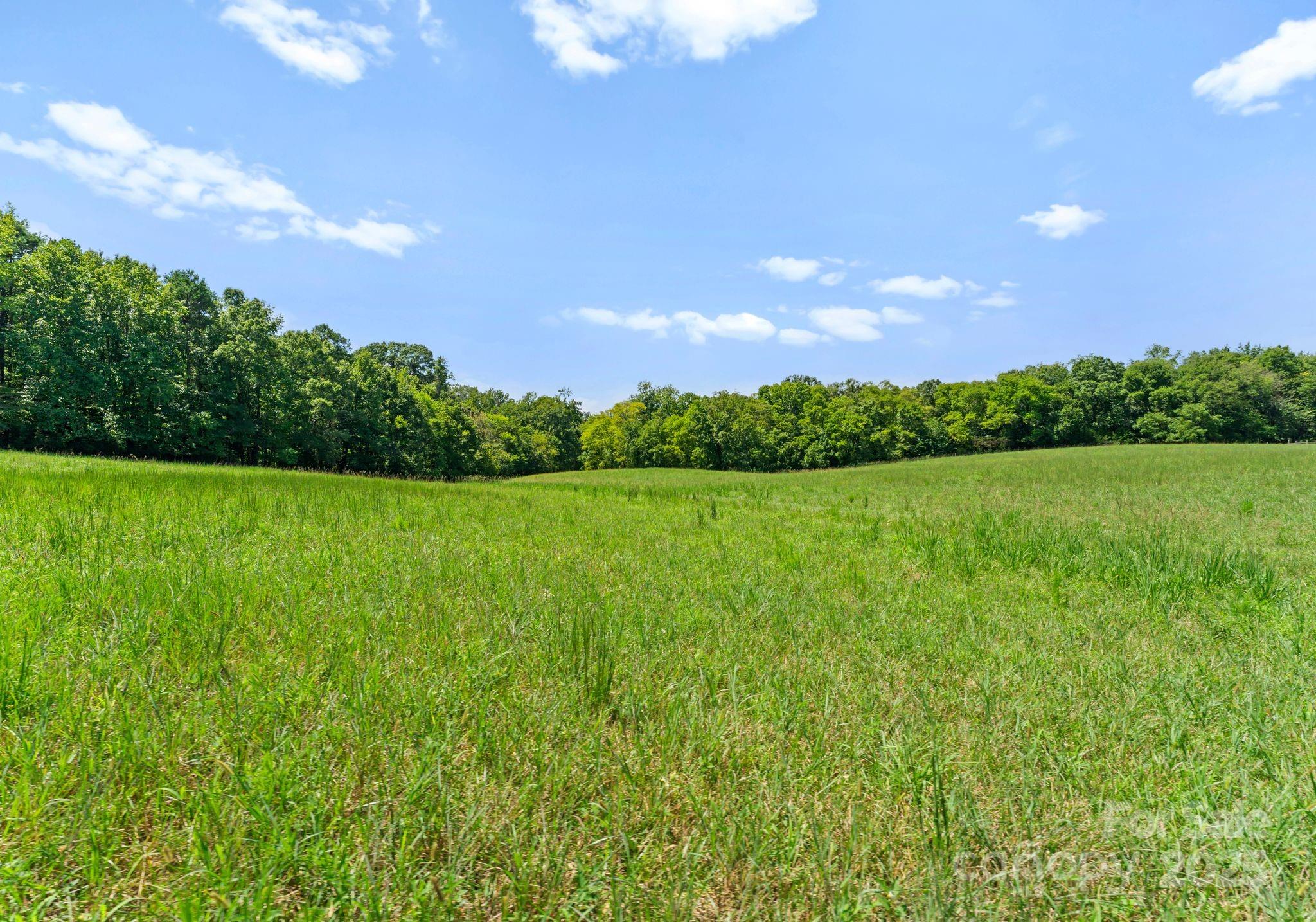 315 Brief Road Property Photo 47