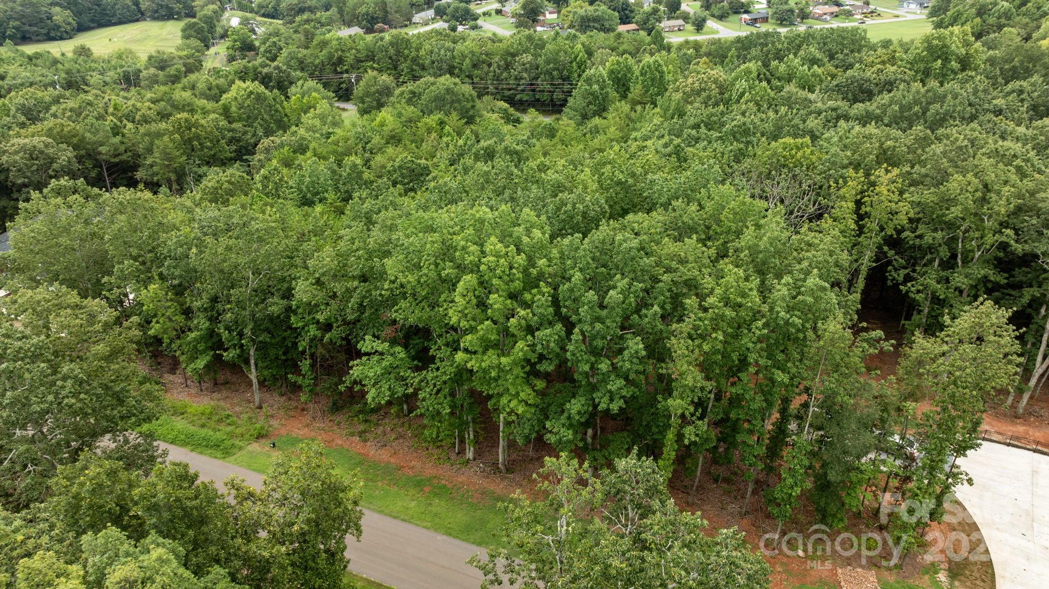 0 Spanish Oak Lane Property Photo 16