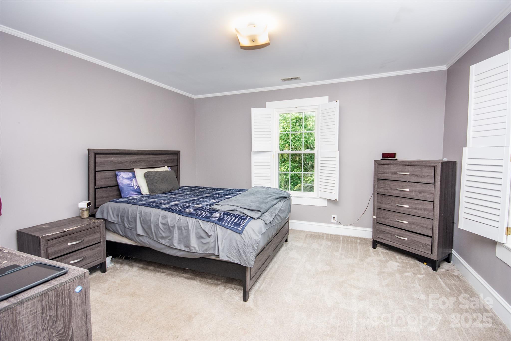 10245 Cool Springs Road Property Photo 21