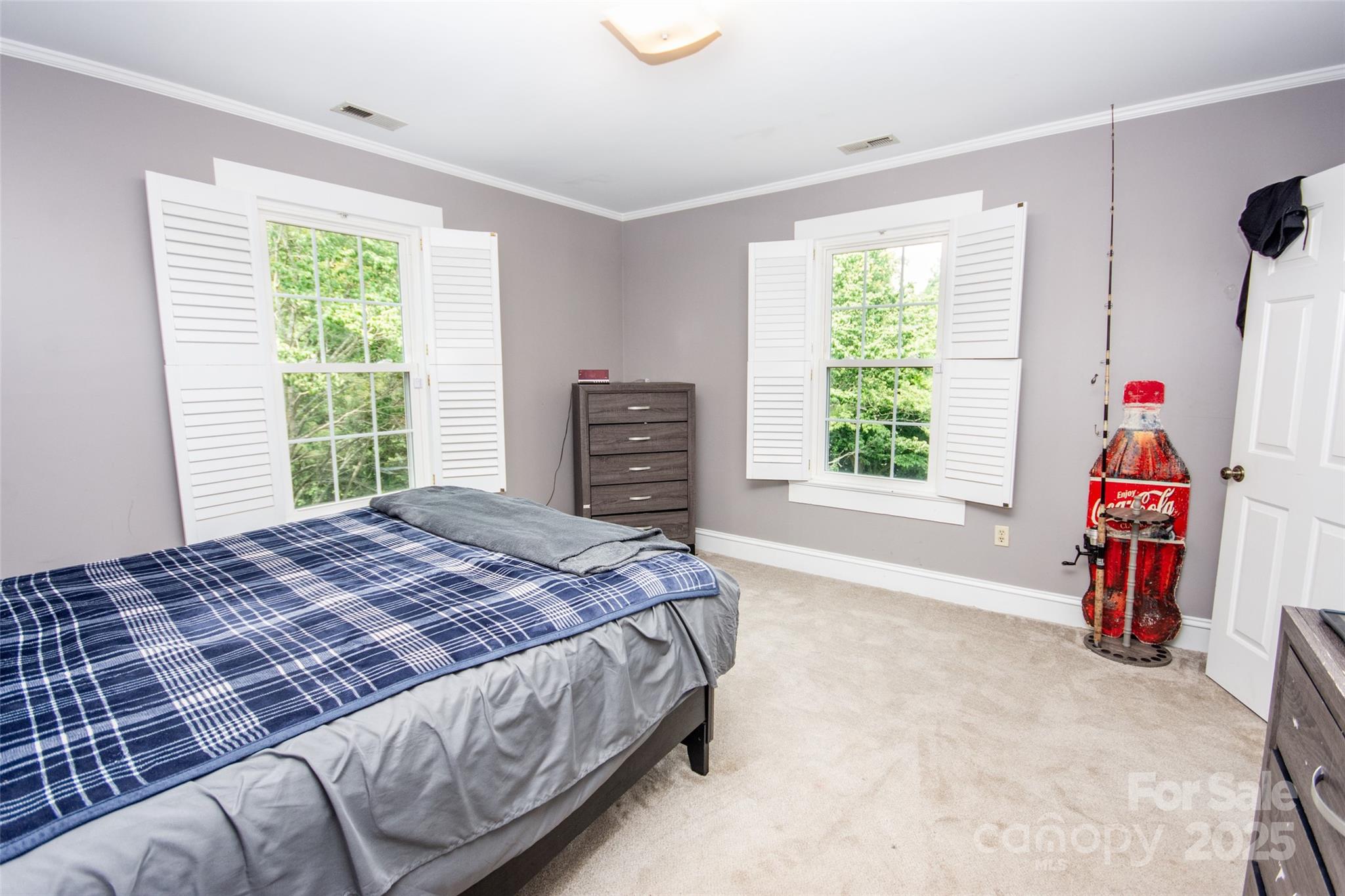 10245 Cool Springs Road Property Photo 22