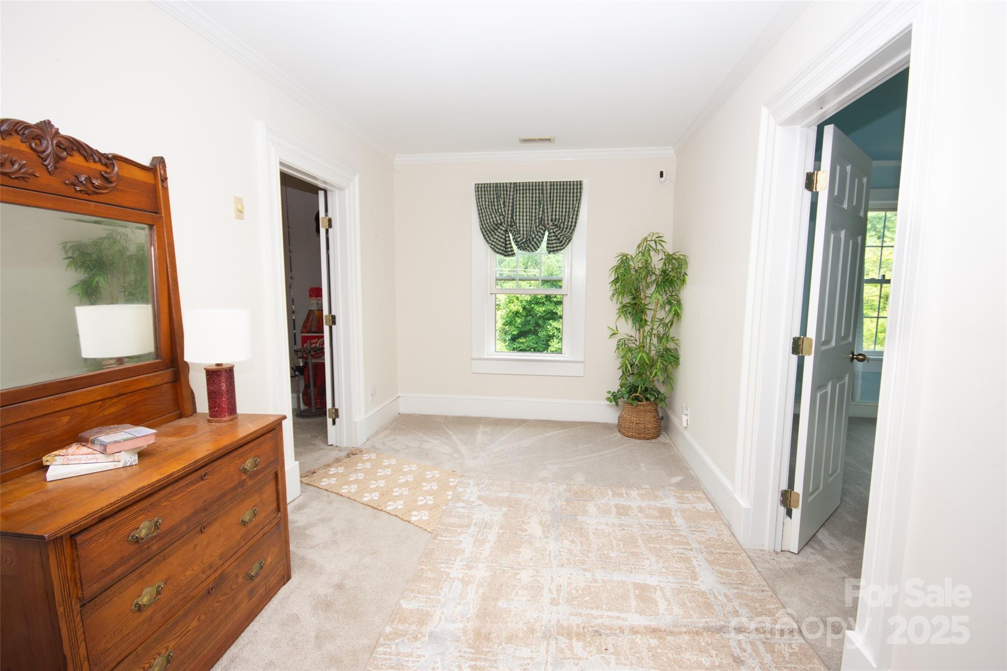 10245 Cool Springs Road Property Photo 23
