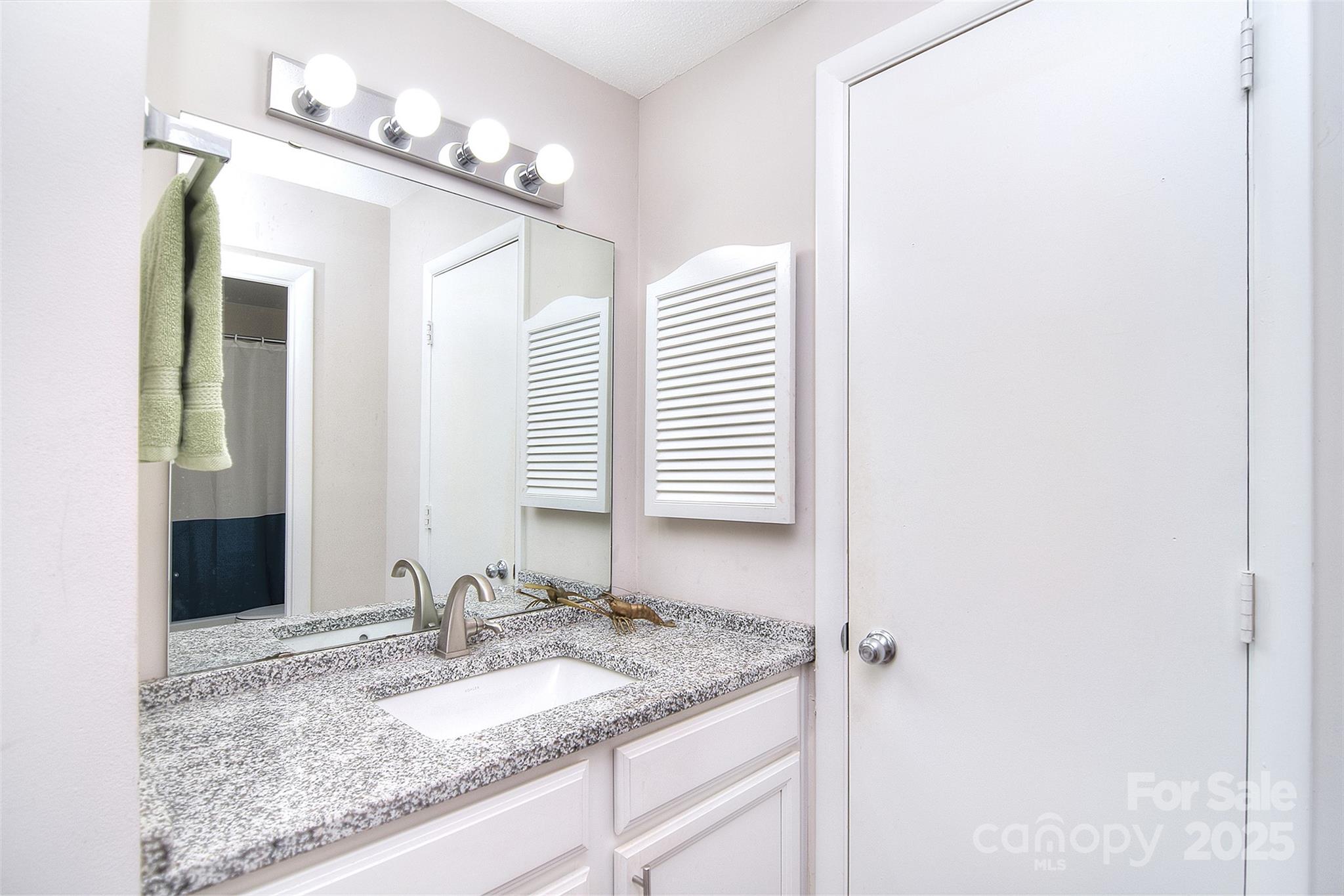 9034 Mcalpine Cove Court Property Photo 23