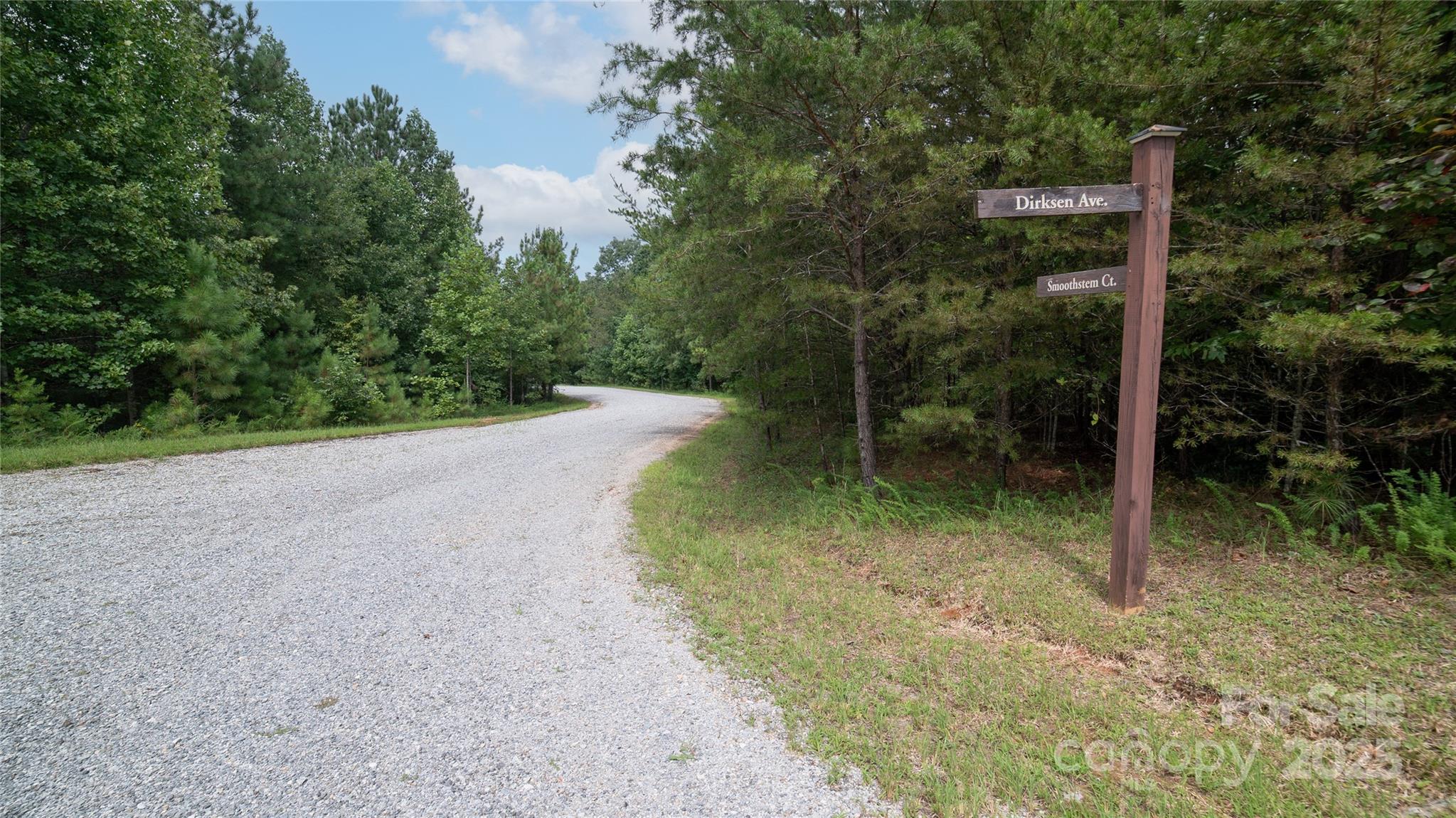 Lot 84 Smoothstem Court Property Photo 5