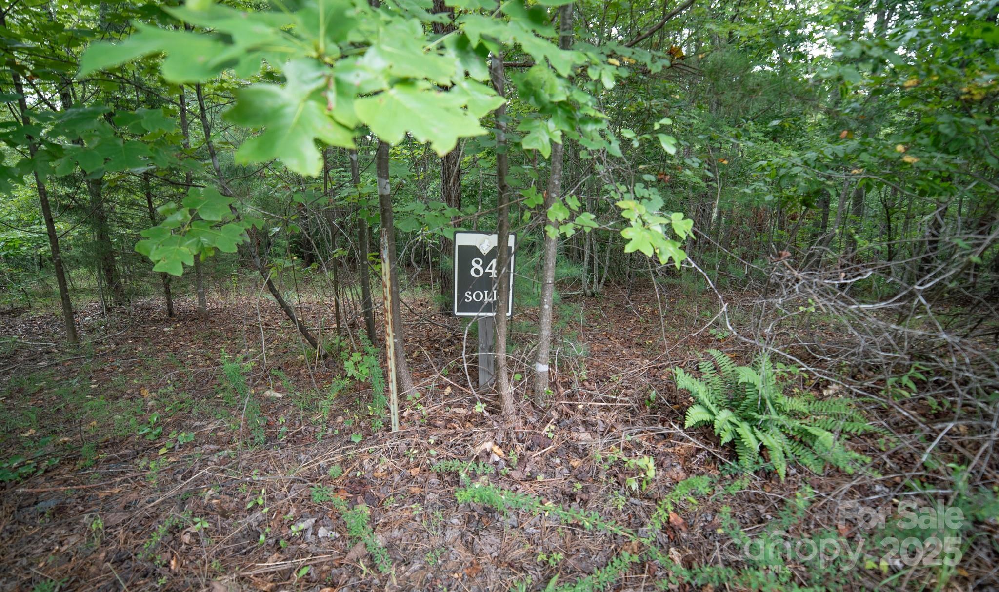 Lot 84 Smoothstem Court Property Photo 7