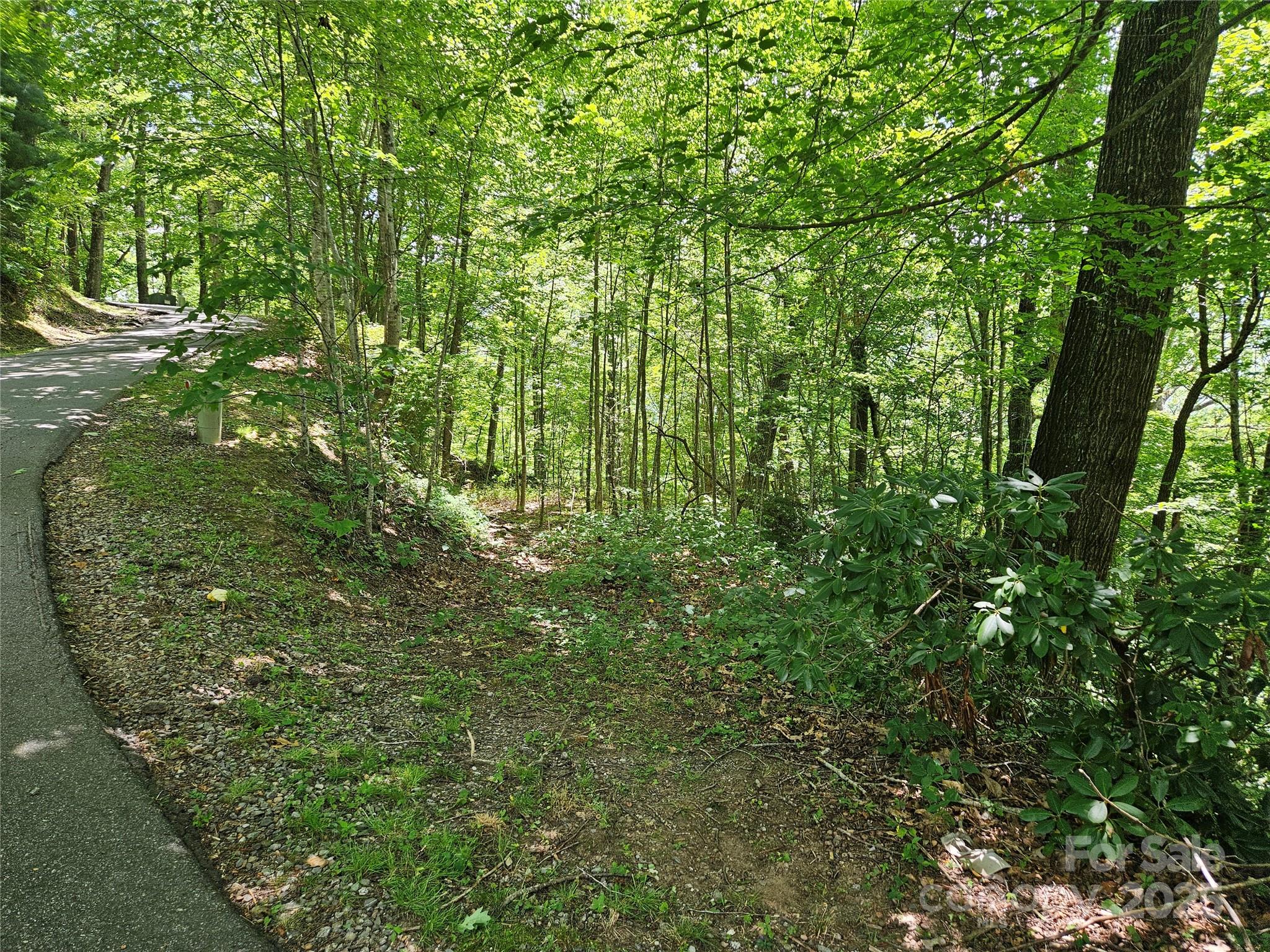 99999 Maplewood Drive Property Photo 2