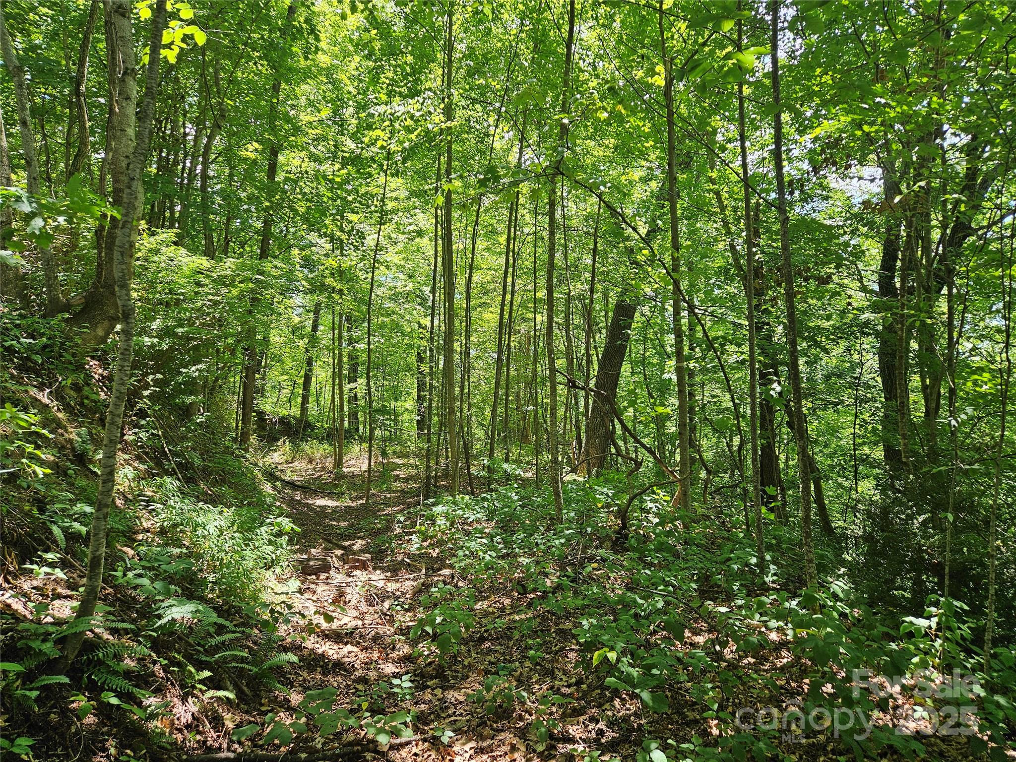 99999 Maplewood Drive Property Photo 3