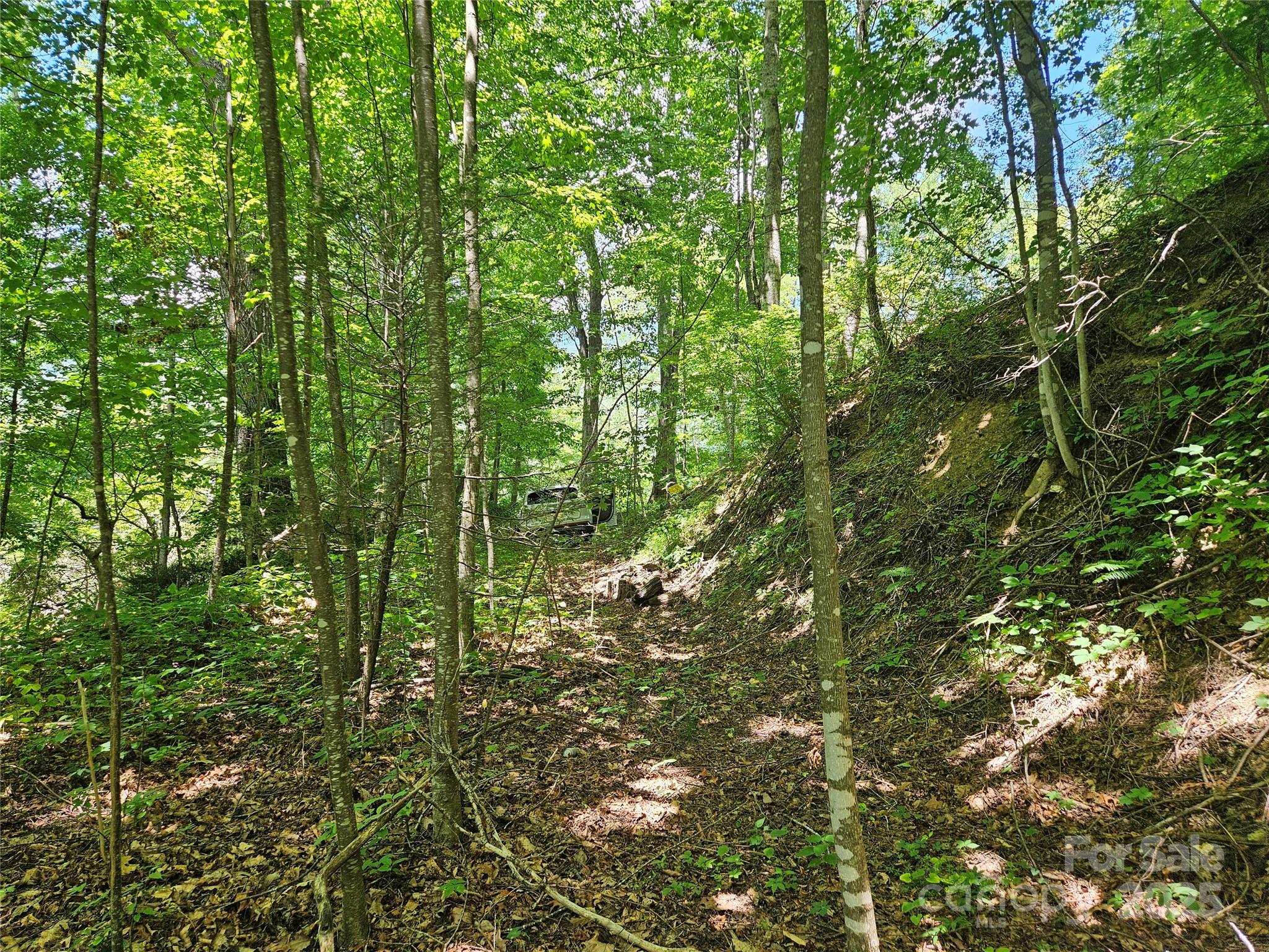 99999 Maplewood Drive Property Photo 4