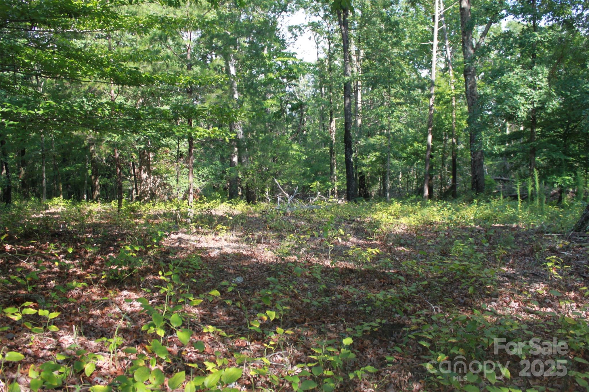 00 Lail Road Property Photo 1