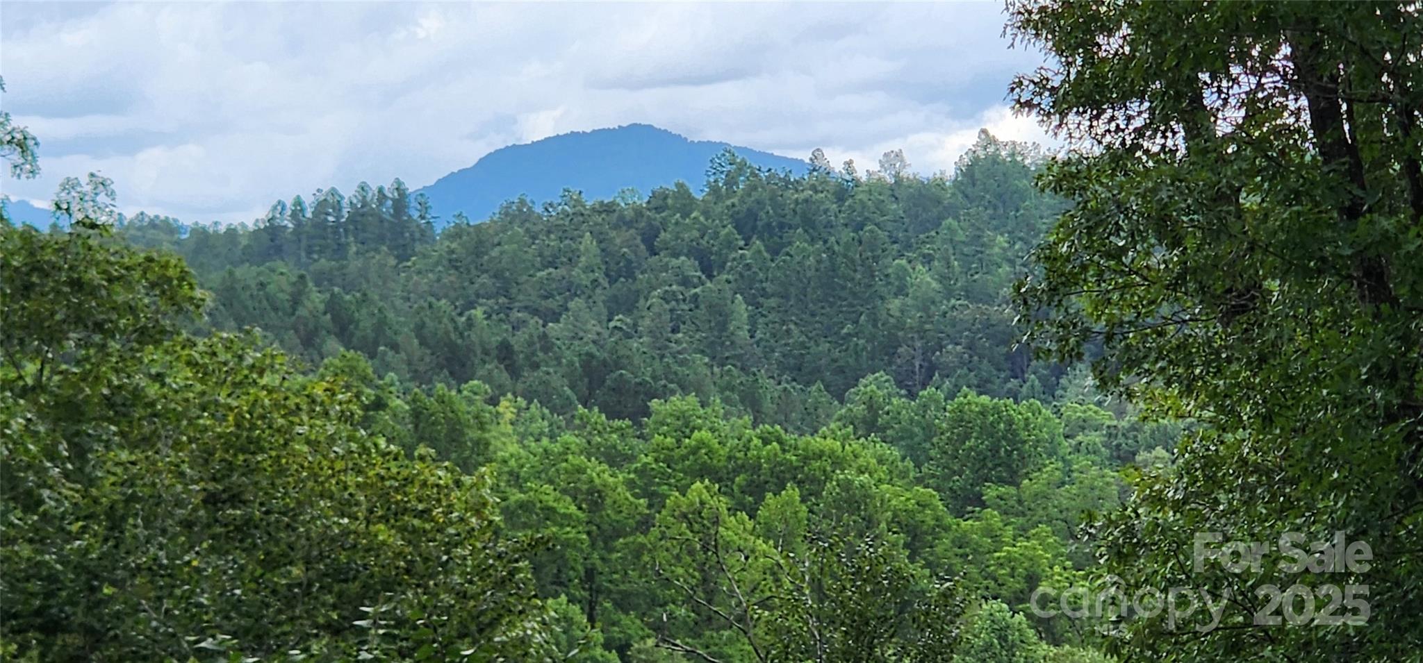 Lot 3 S Cross Creek Trail Property Photo 1