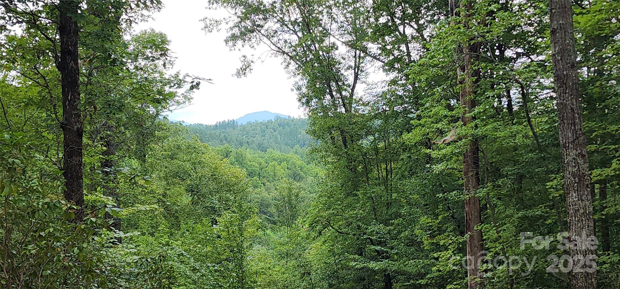 Lot 3 S Cross Creek Trail Property Photo 3