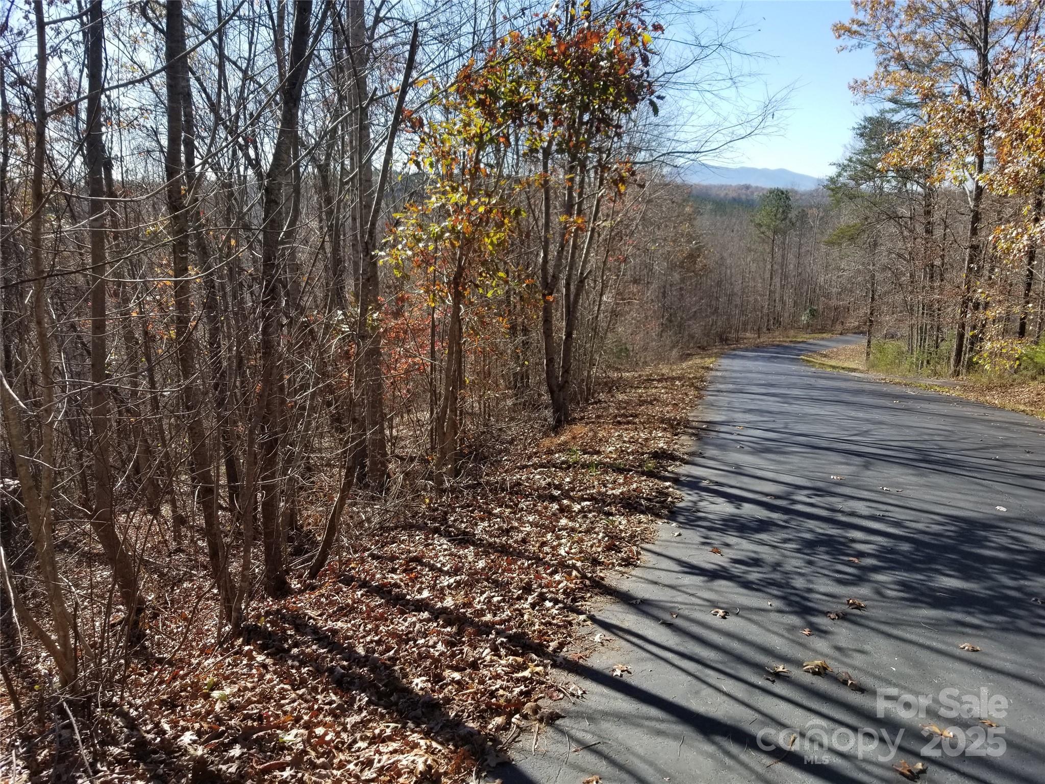 Lot 3 S Cross Creek Trail Property Photo 7