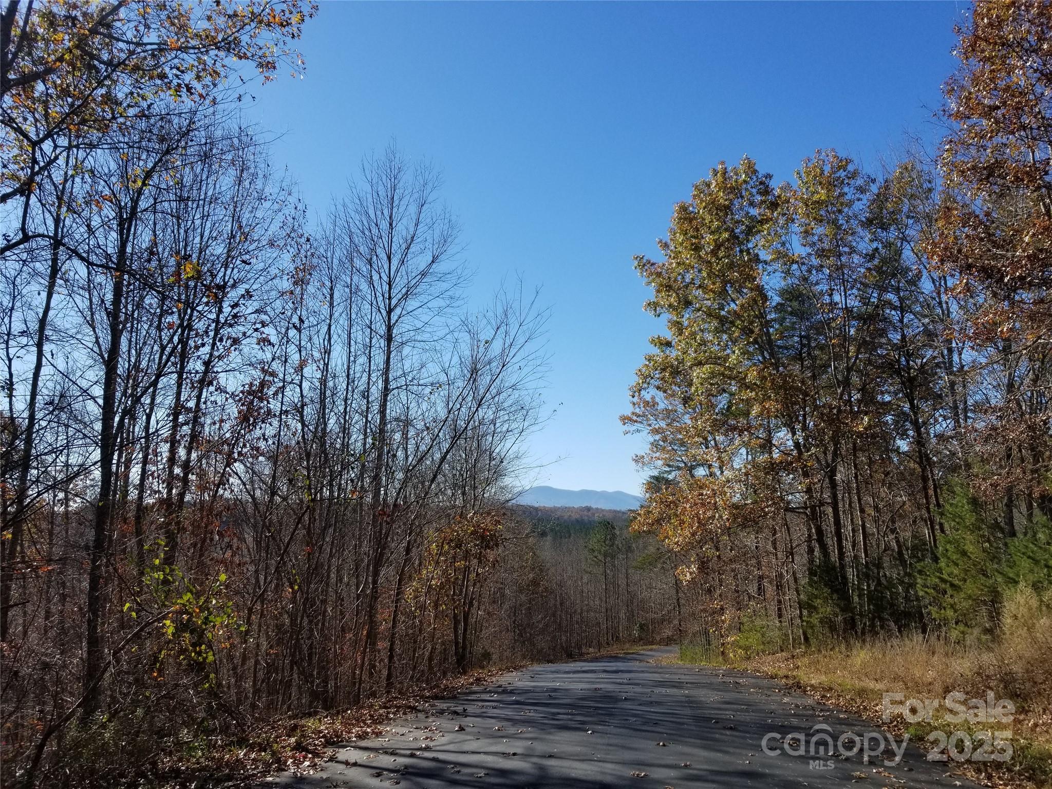 Lot 3 S Cross Creek Trail Property Photo 8