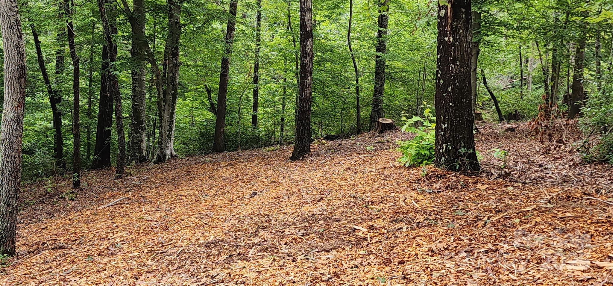 Lot 3 S Cross Creek Trail Property Photo 13