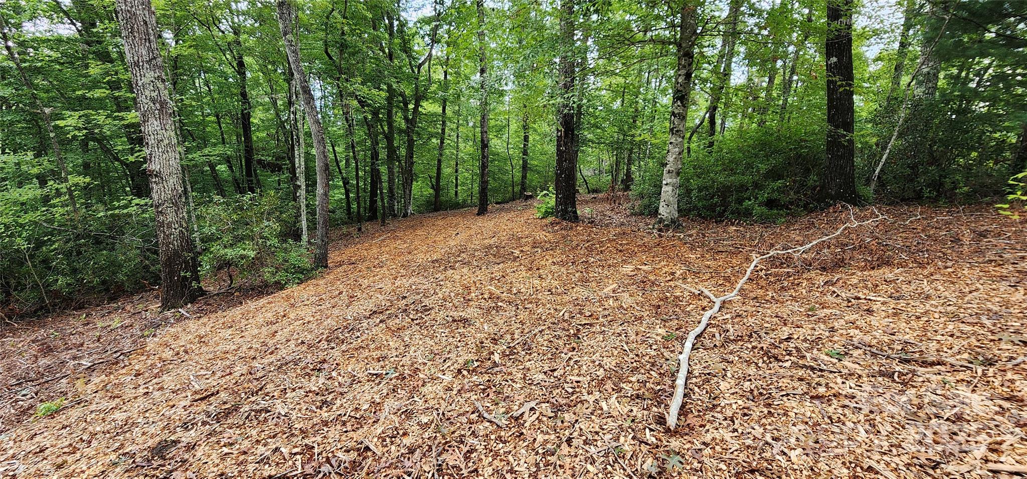 Lot 3 S Cross Creek Trail Property Photo 14