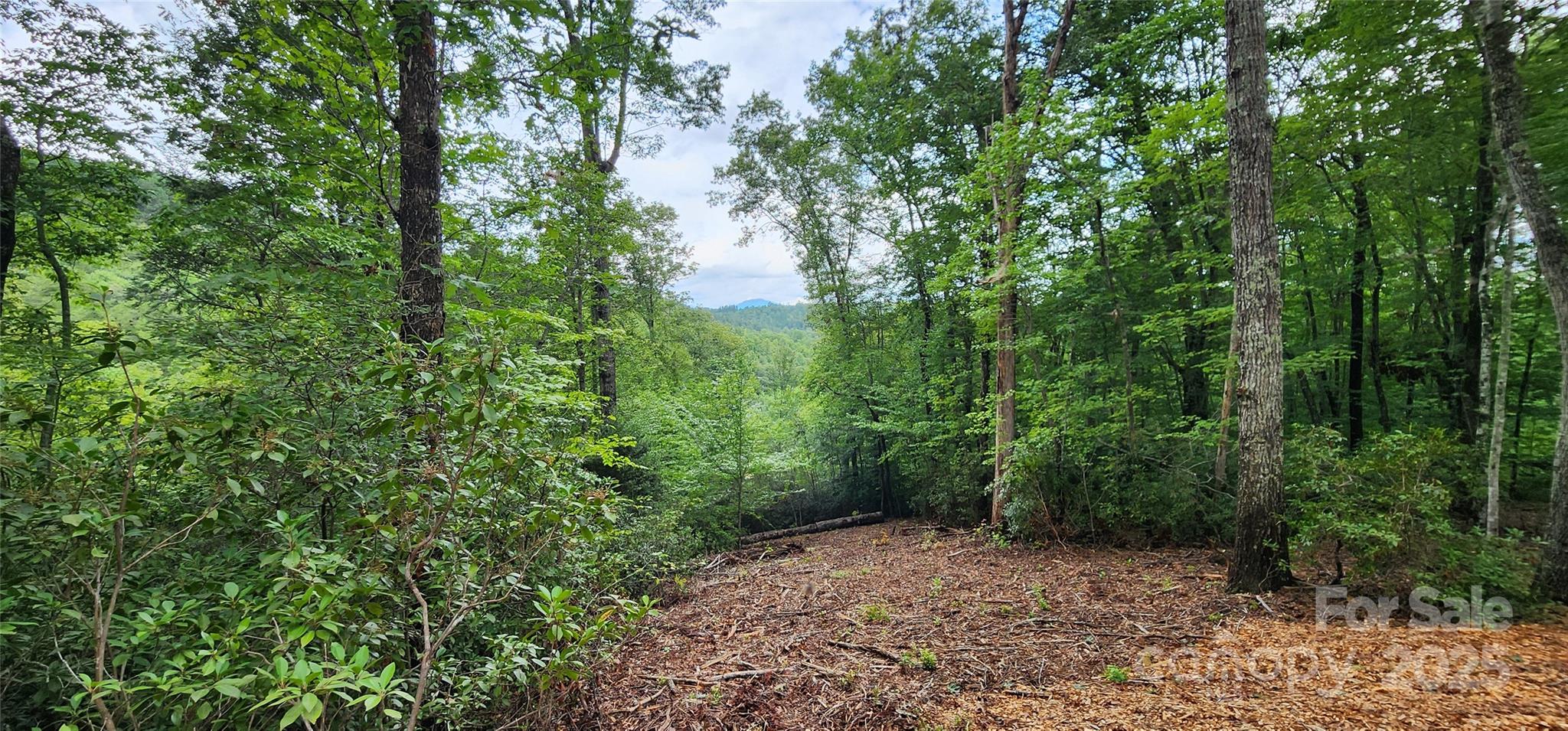 Lot 3 S Cross Creek Trail Property Photo 15