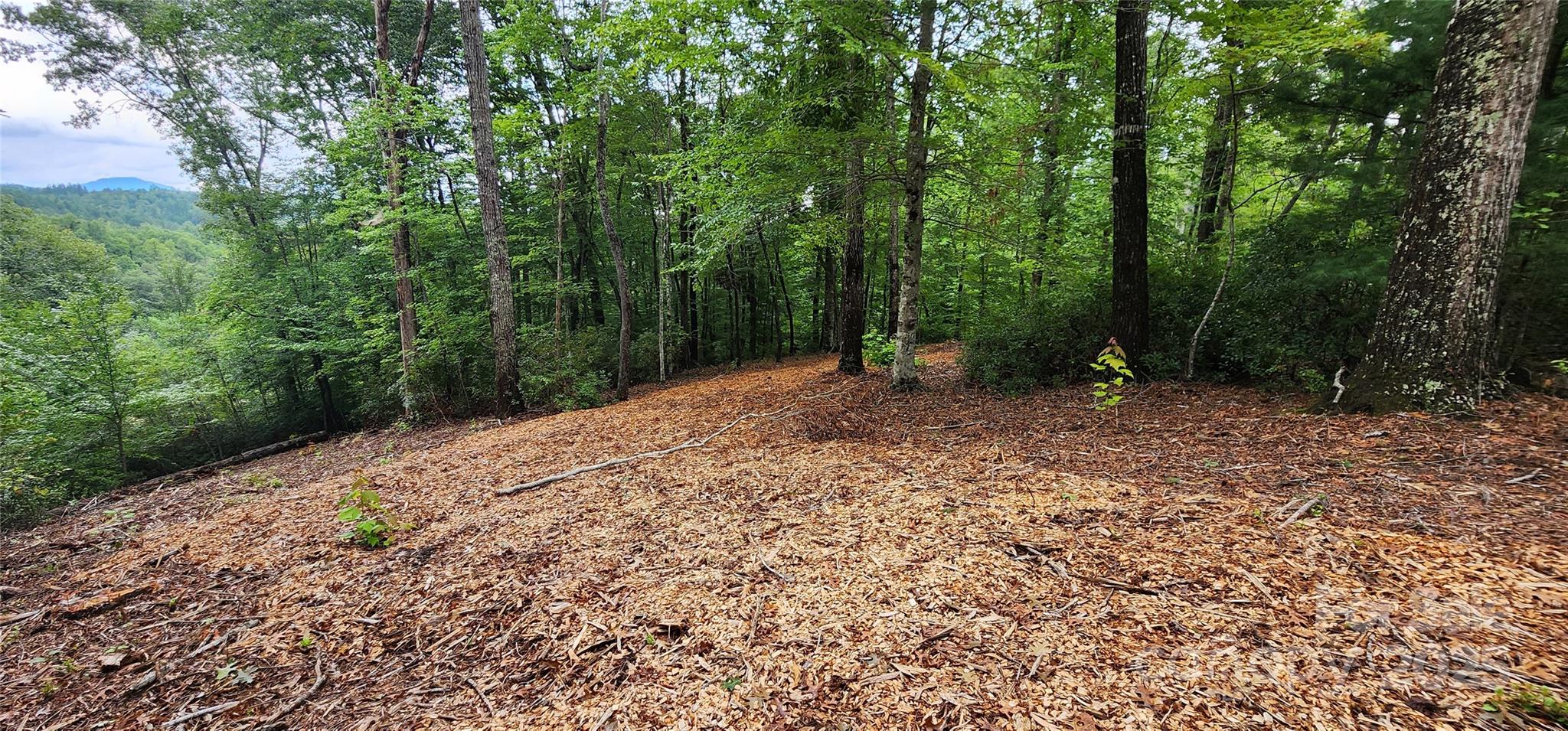 Lot 3 S Cross Creek Trail Property Photo 16