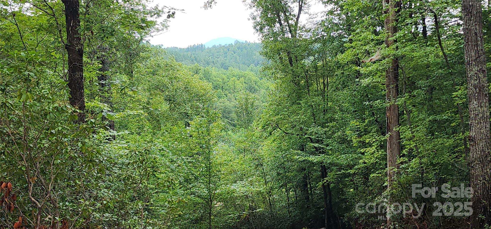 Lot 3 S Cross Creek Trail Property Photo 17