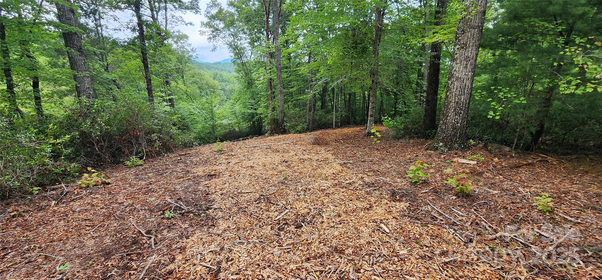 Lot 3 S Cross Creek Trail Property Photo 18