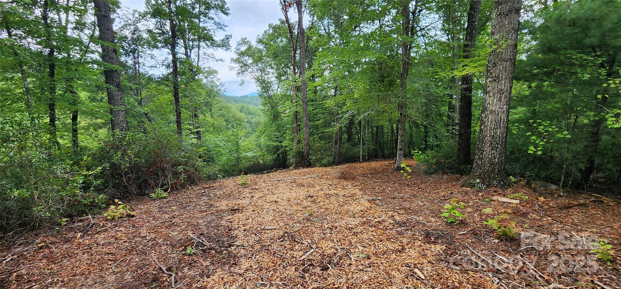 Lot 3 S Cross Creek Trail Property Photo 19