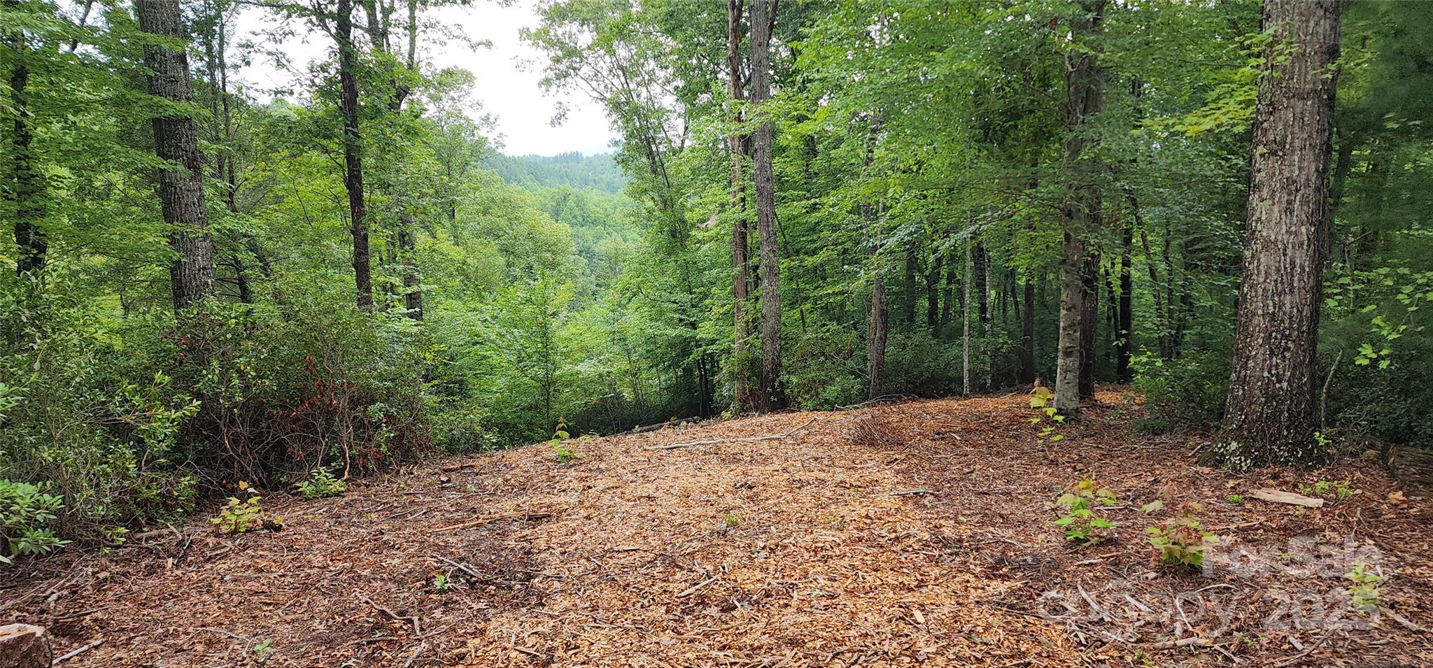 Lot 3 S Cross Creek Trail Property Photo 20