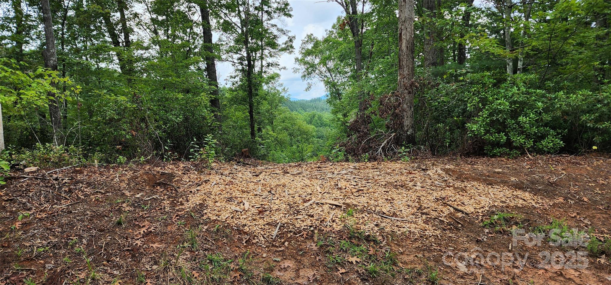 Lot 3 S Cross Creek Trail Property Photo 25