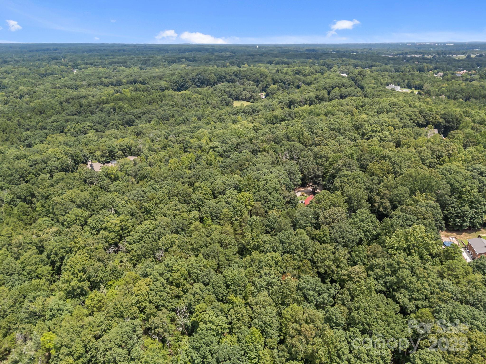 3351 Trinity Church Drive Property Photo 15