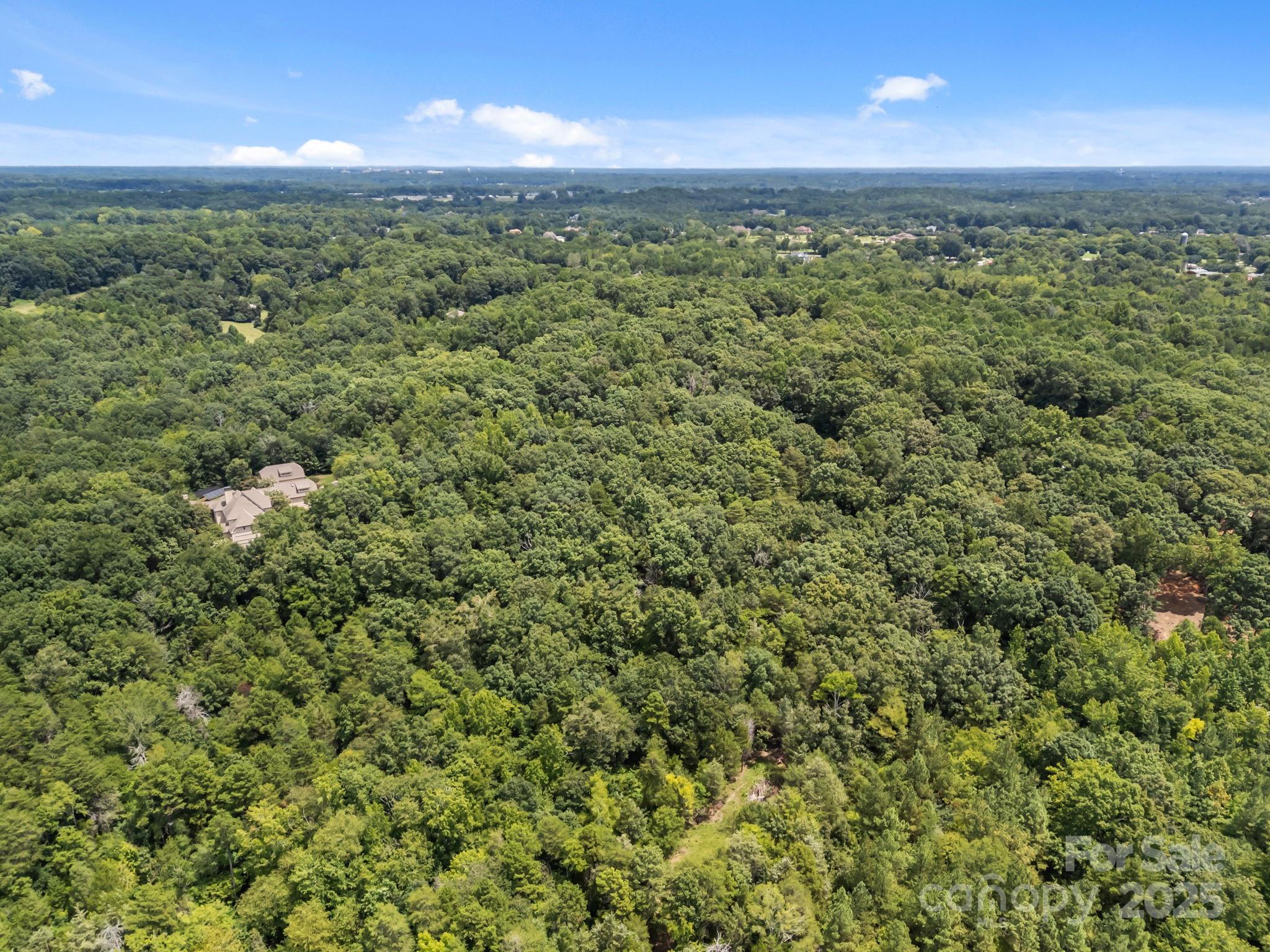 3351 Trinity Church Drive Property Photo 16