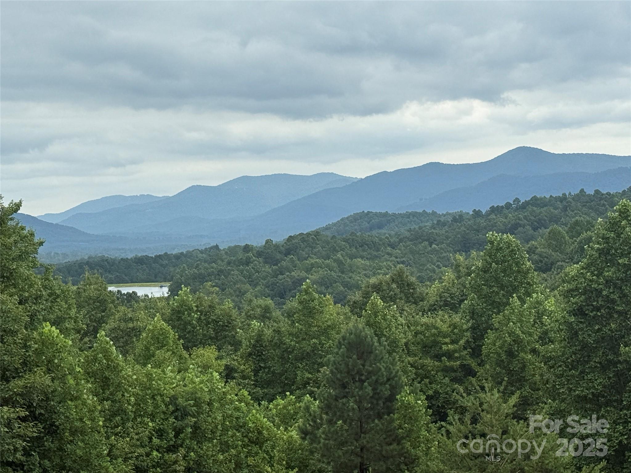 166 Coal Pit Mountain Drive 359 Property Photo 1