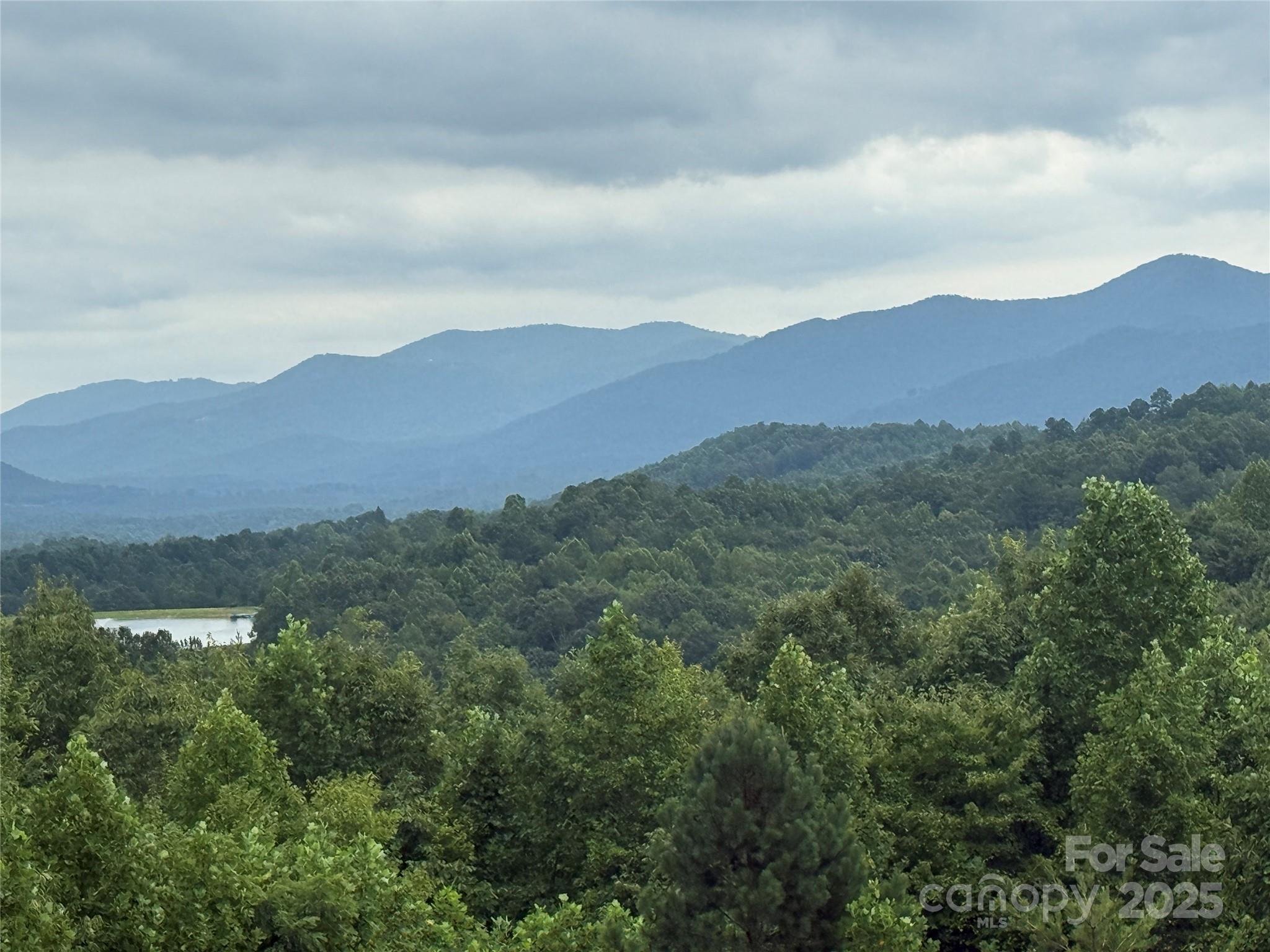 166 Coal Pit Mountain Drive 359 Property Photo 2