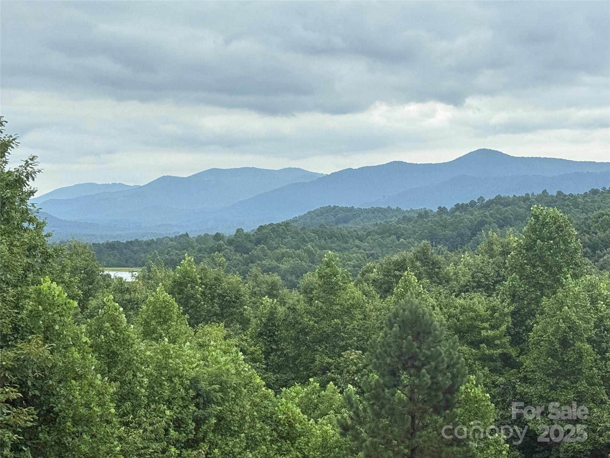 166 Coal Pit Mountain Drive 359 Property Photo 3