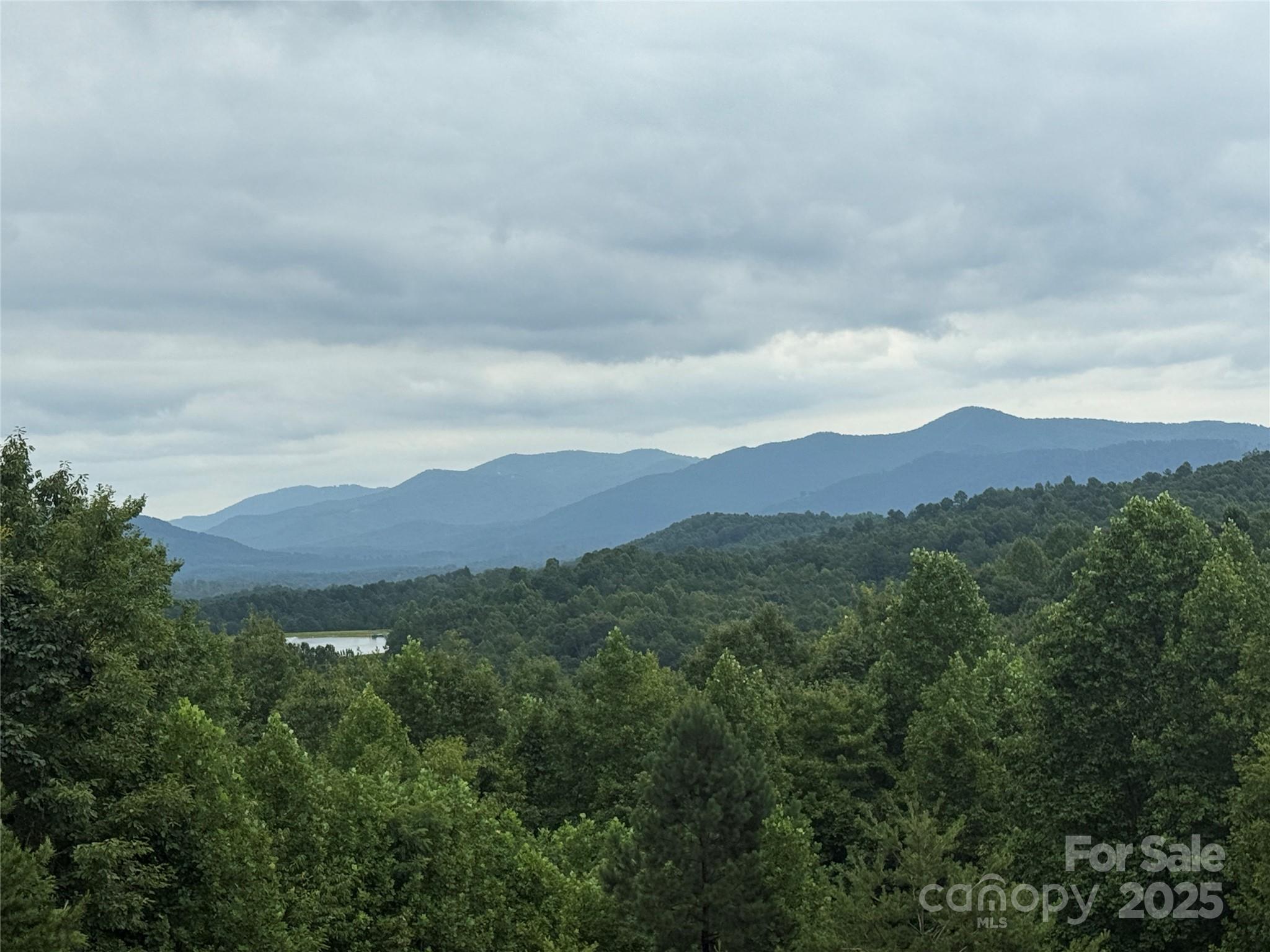 166 Coal Pit Mountain Drive 359 Property Photo 4