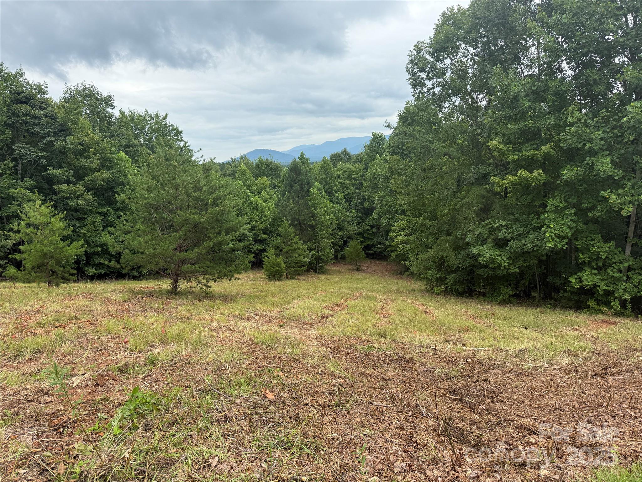 166 Coal Pit Mountain Drive 359 Property Photo 5