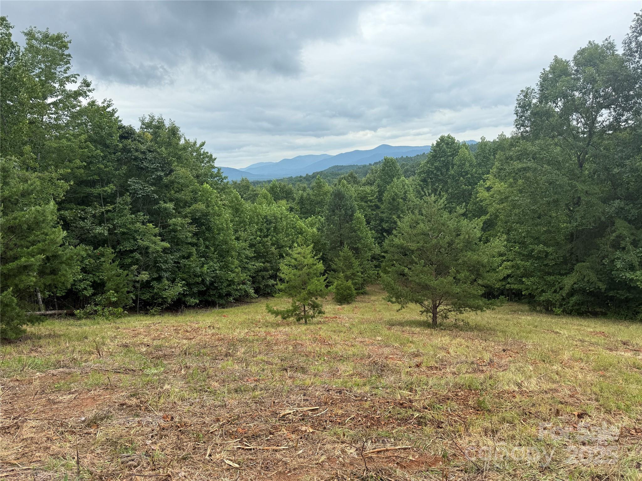 166 Coal Pit Mountain Drive 359 Property Photo 6