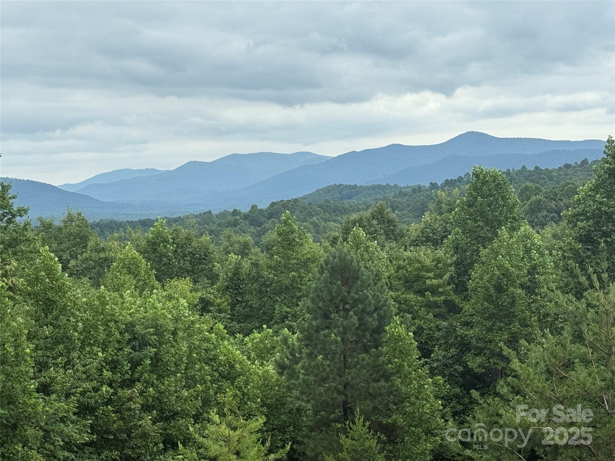 166 Coal Pit Mountain Drive 359 Property Photo 7