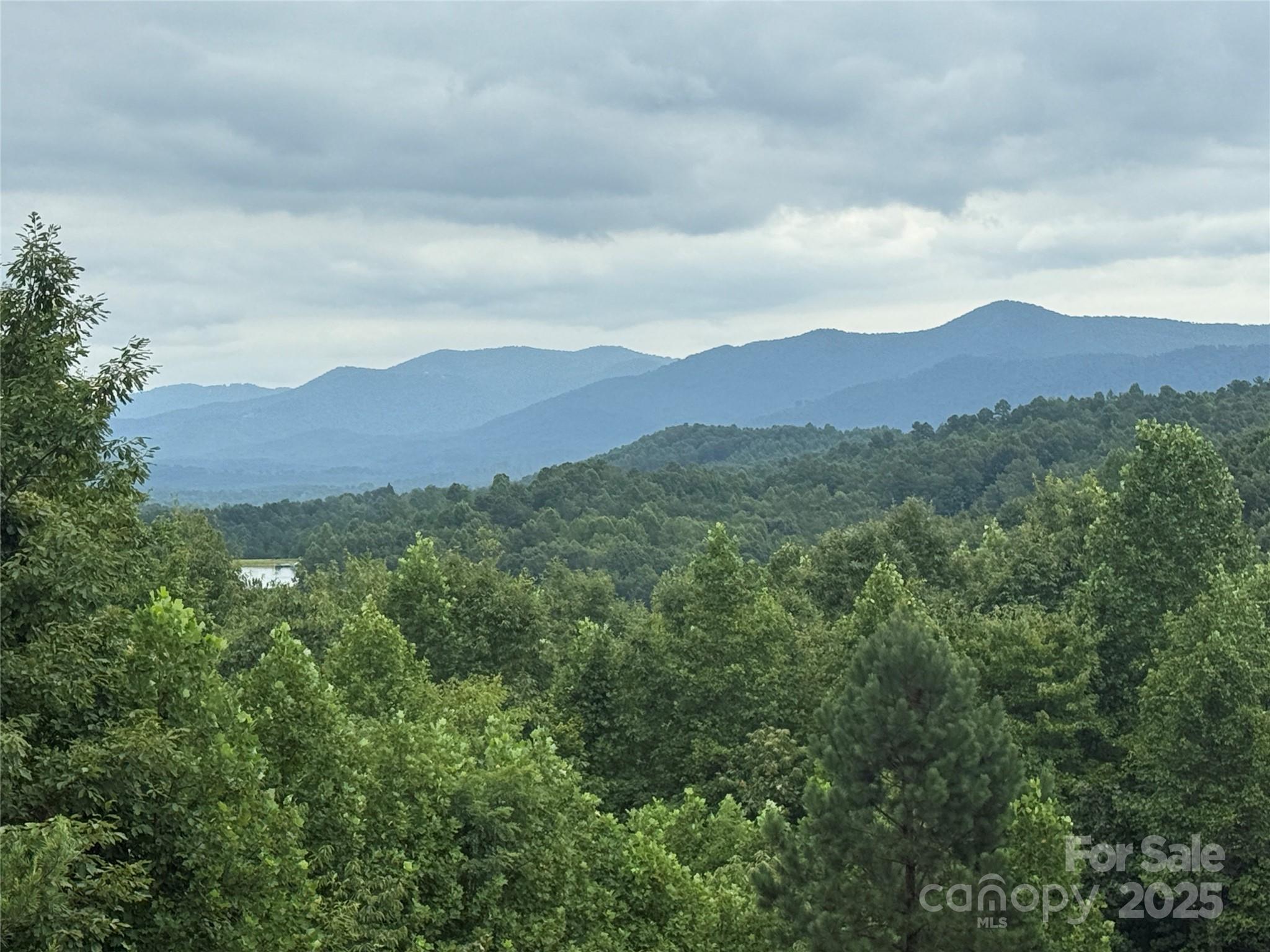 166 Coal Pit Mountain Drive 359 Property Photo 8