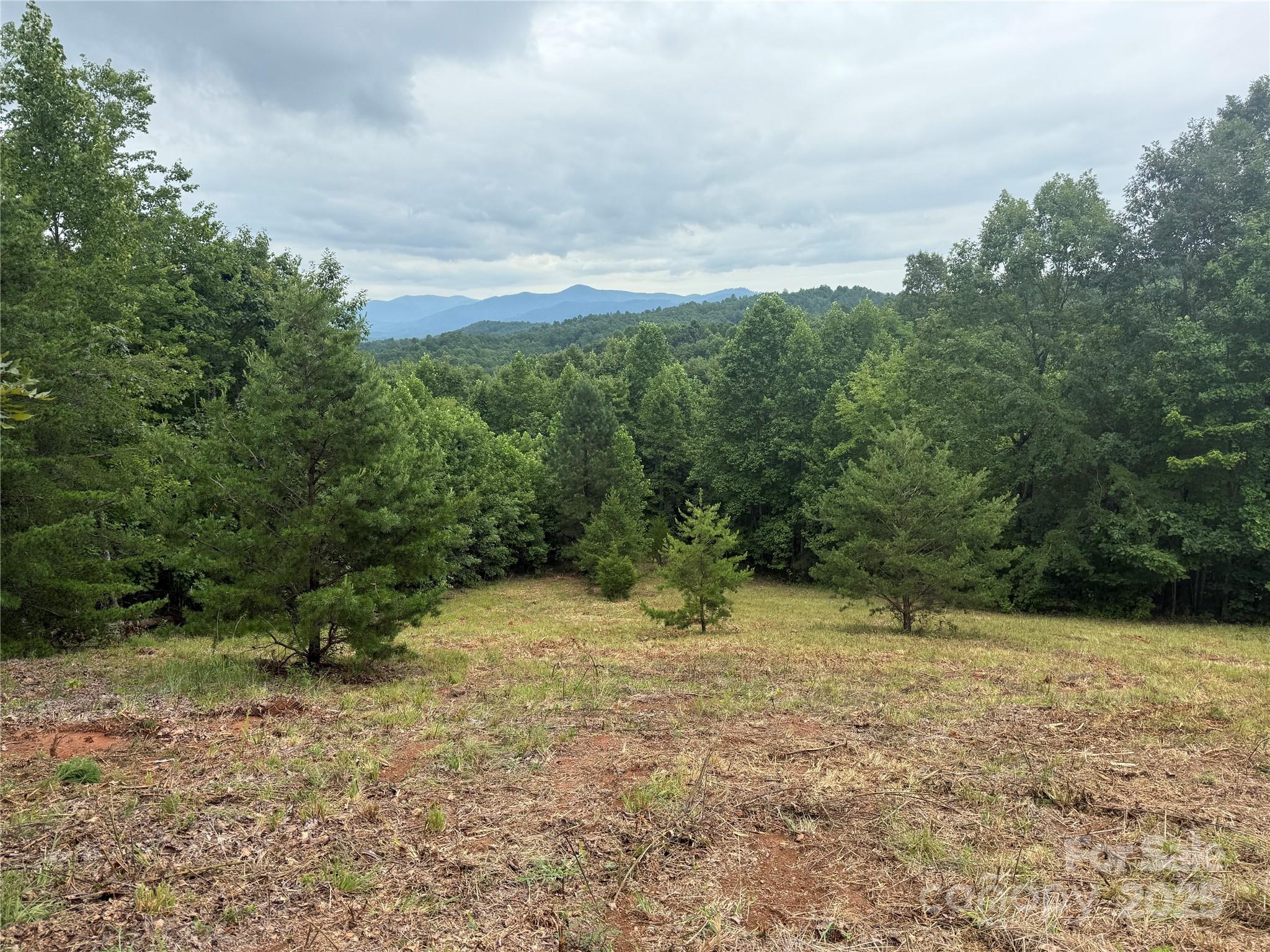 166 Coal Pit Mountain Drive 359 Property Photo 9