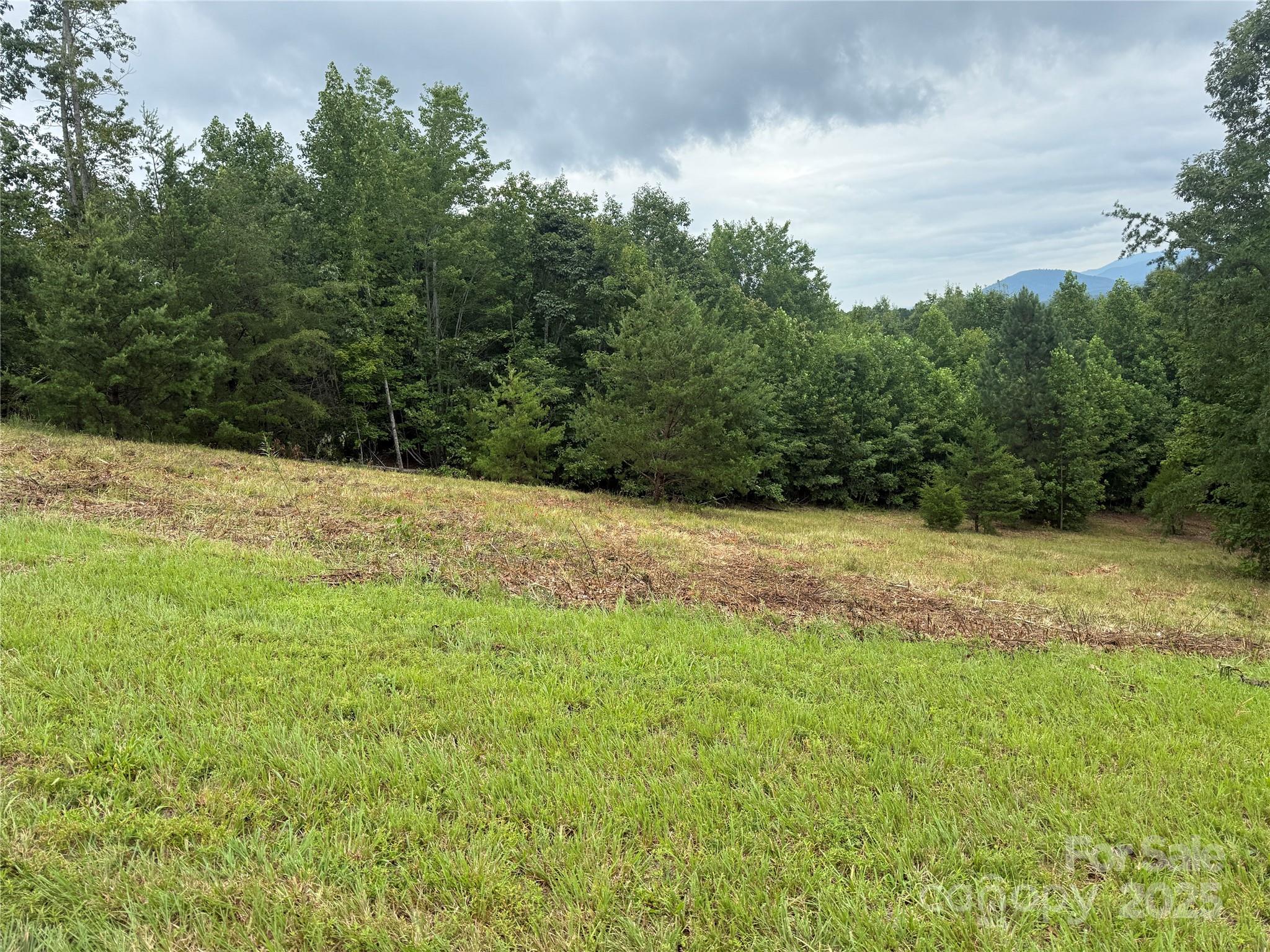 166 Coal Pit Mountain Drive 359 Property Photo 10