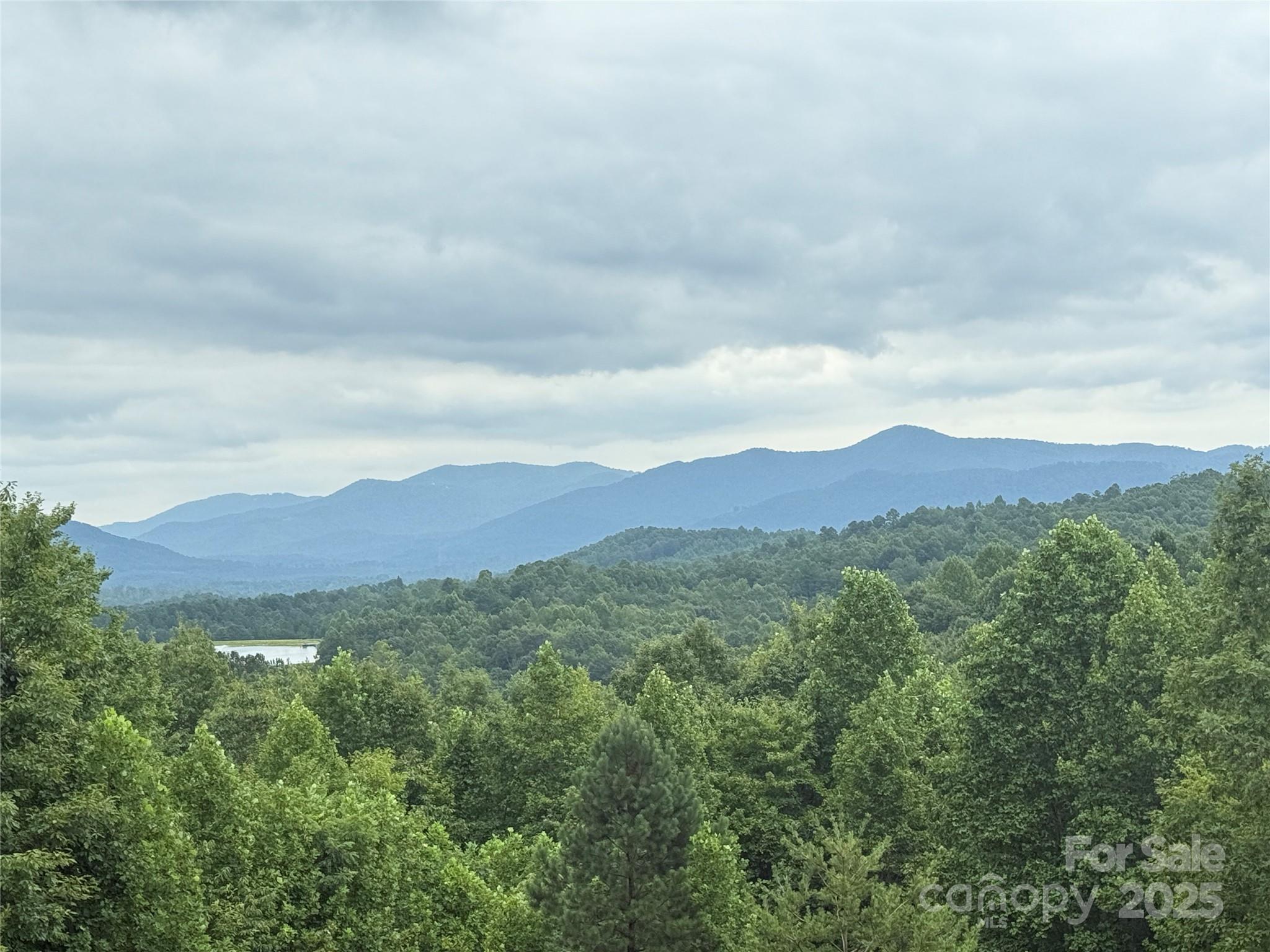 166 Coal Pit Mountain Drive 359 Property Photo 11