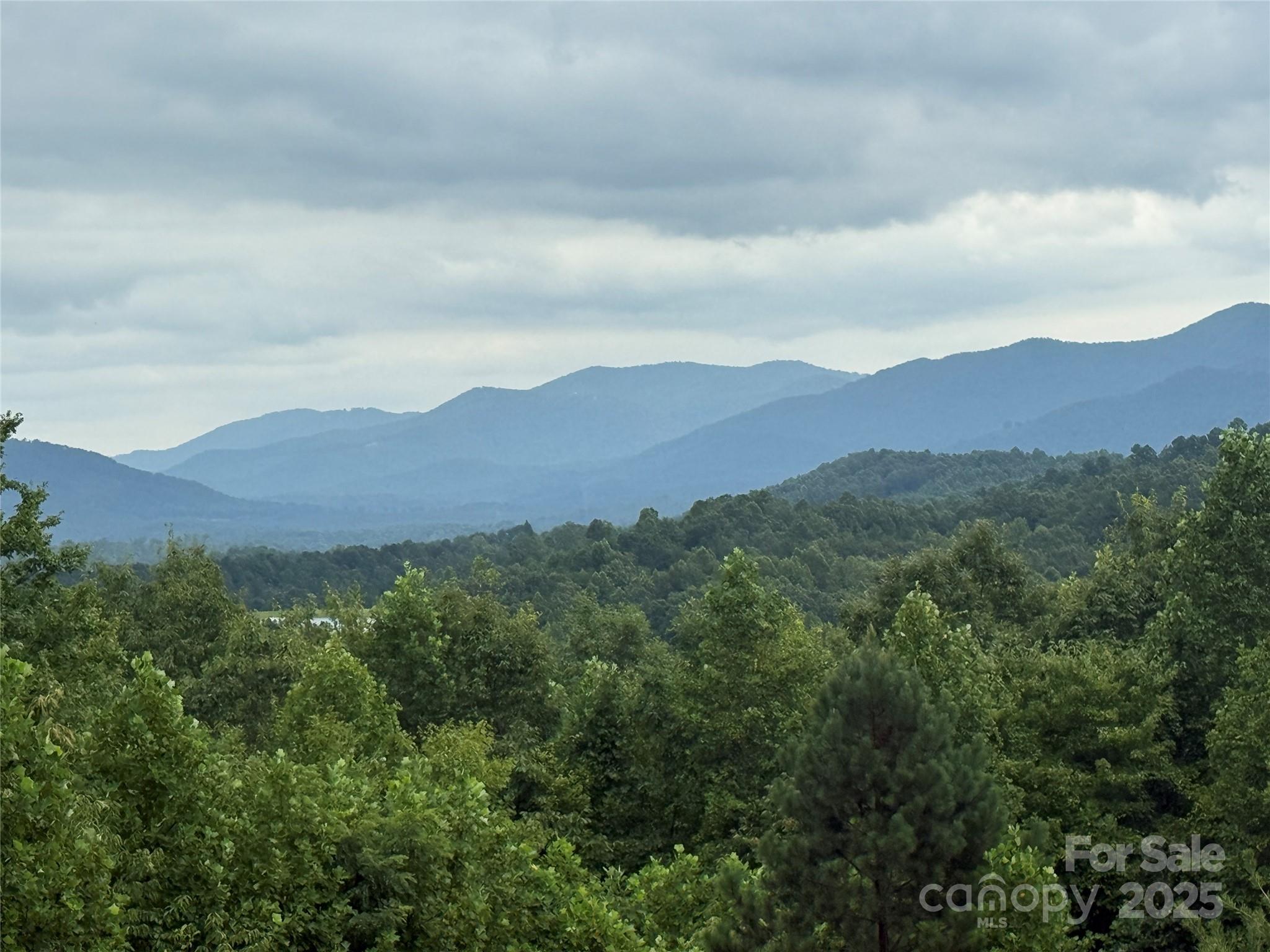166 Coal Pit Mountain Drive 359 Property Photo 12