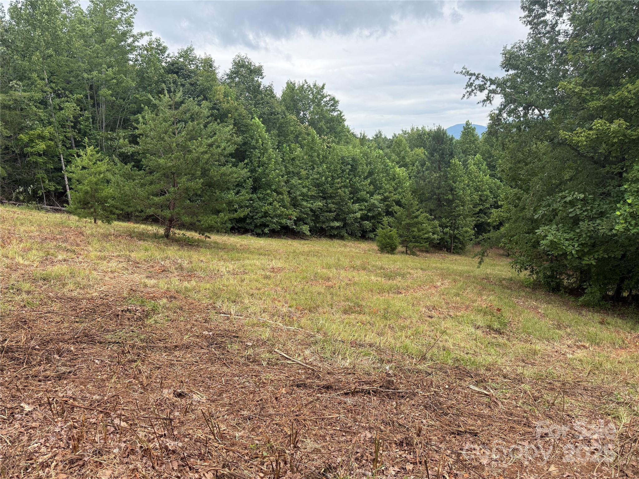 166 Coal Pit Mountain Drive 359 Property Photo 15
