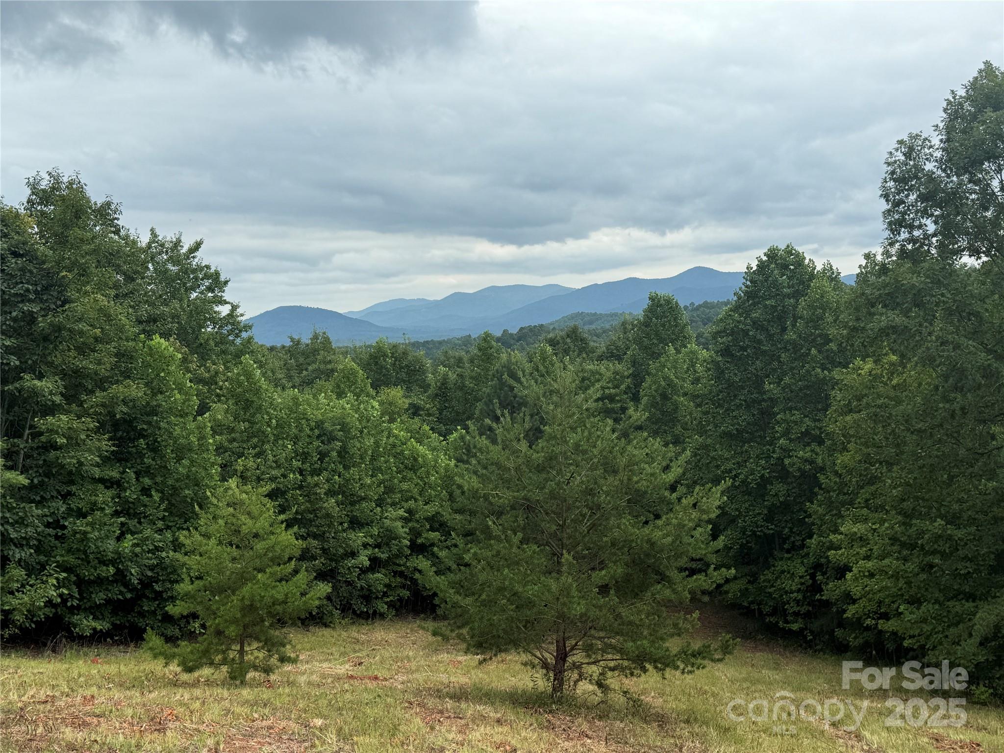 166 Coal Pit Mountain Drive 359 Property Photo 18