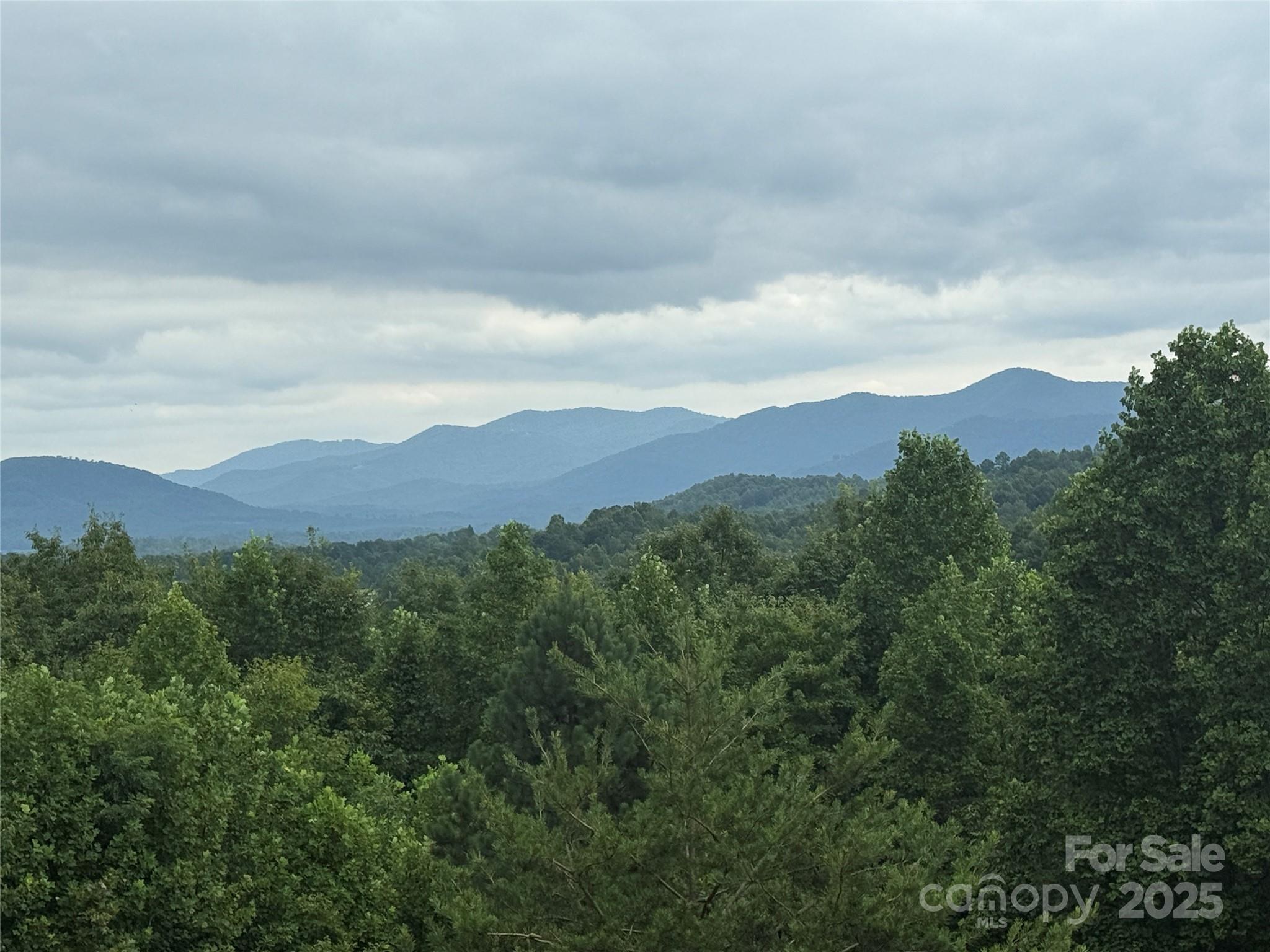 166 Coal Pit Mountain Drive 359 Property Photo 19