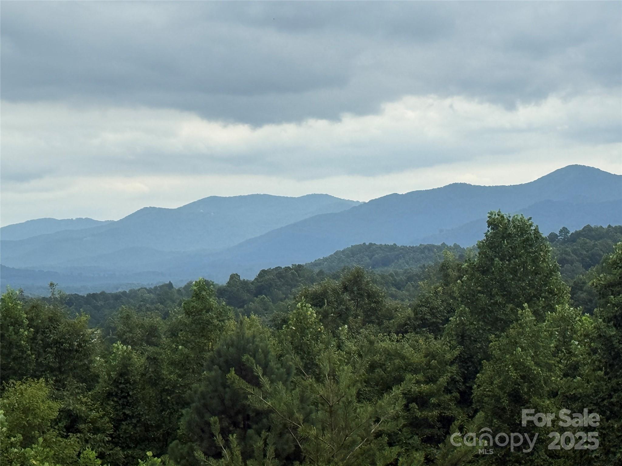 166 Coal Pit Mountain Drive 359 Property Photo 20
