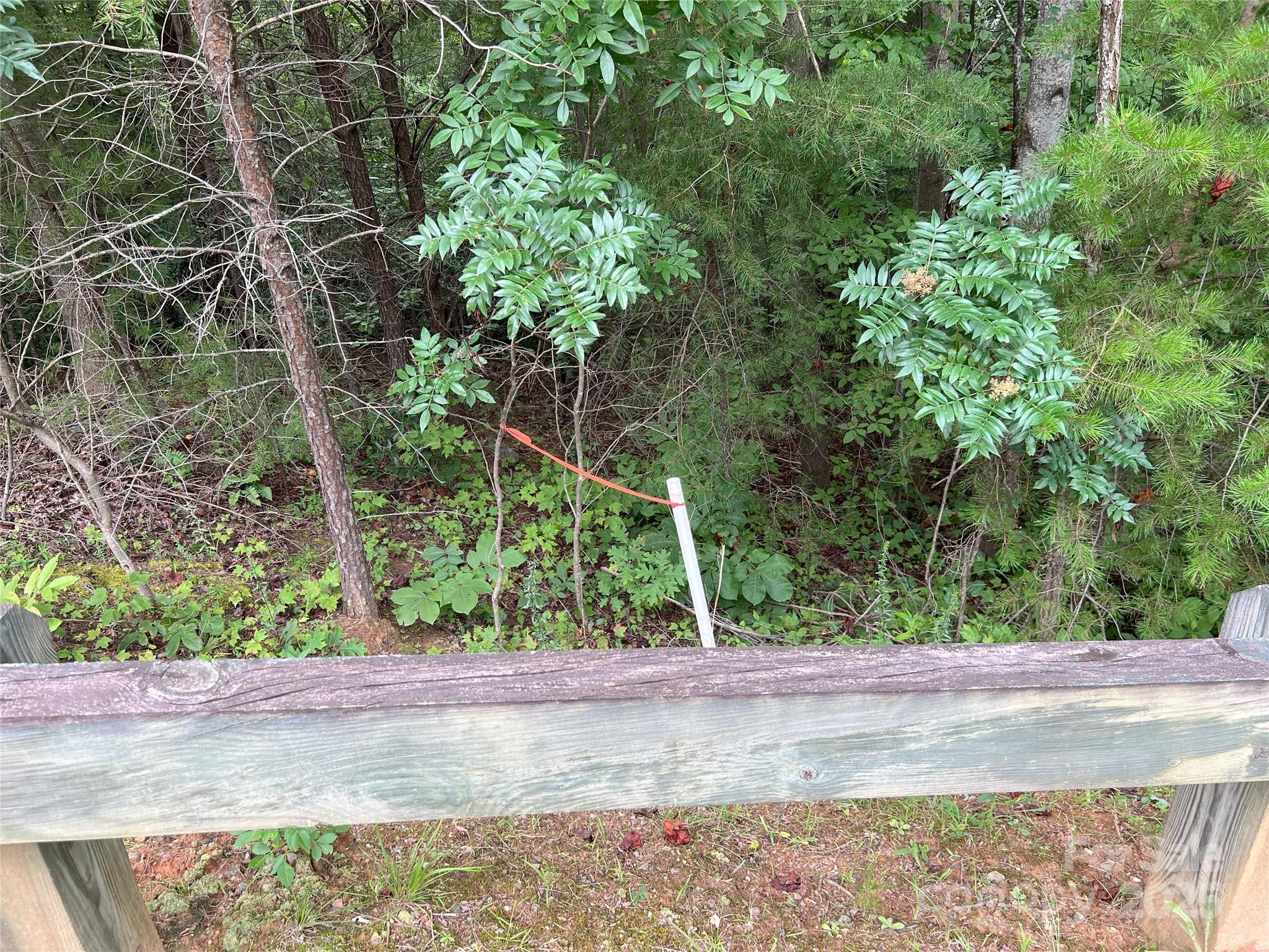 00 Deep Gap Road 97 Property Photo 4